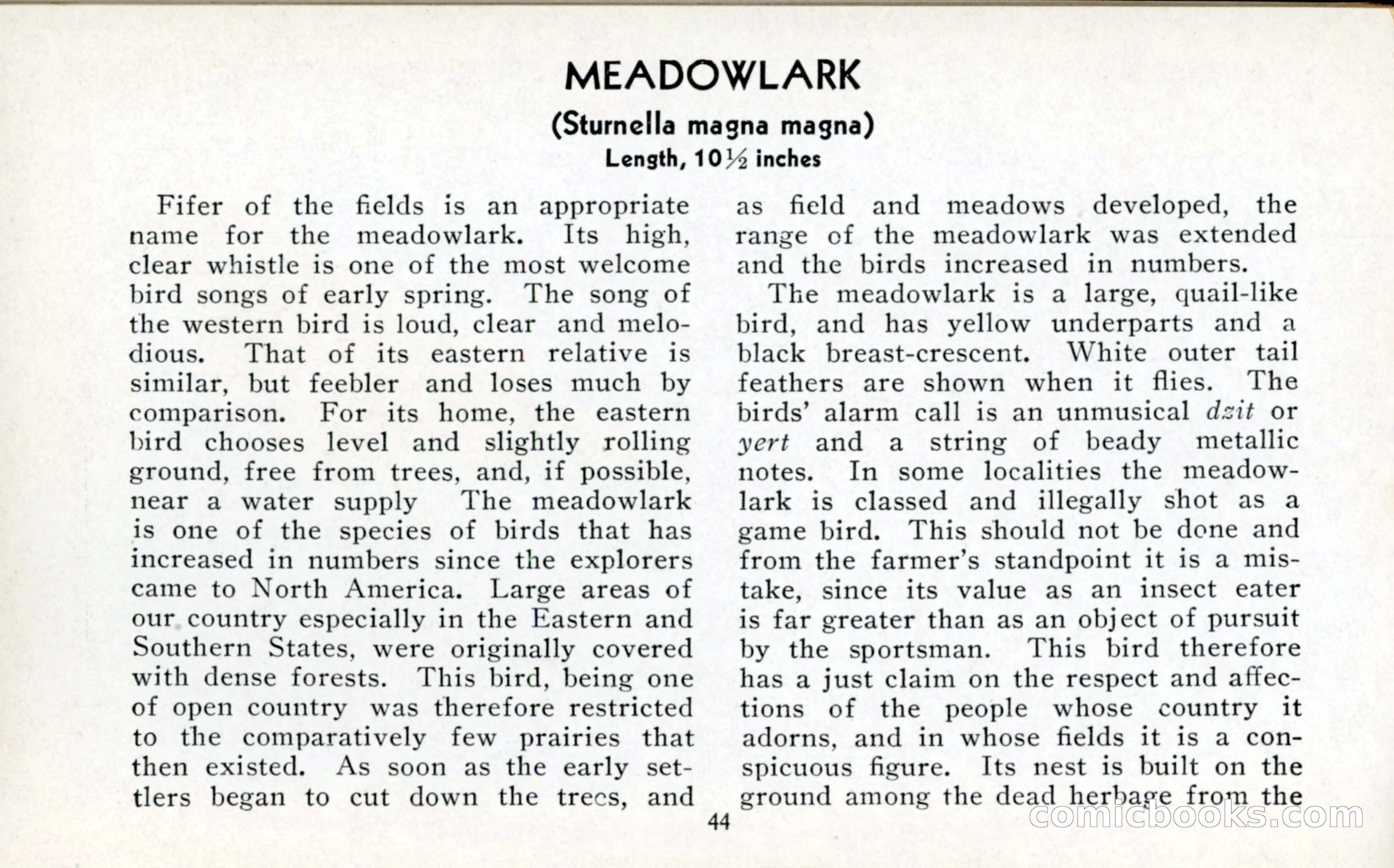 The Blue Book of Birds of America — page 45 of 98