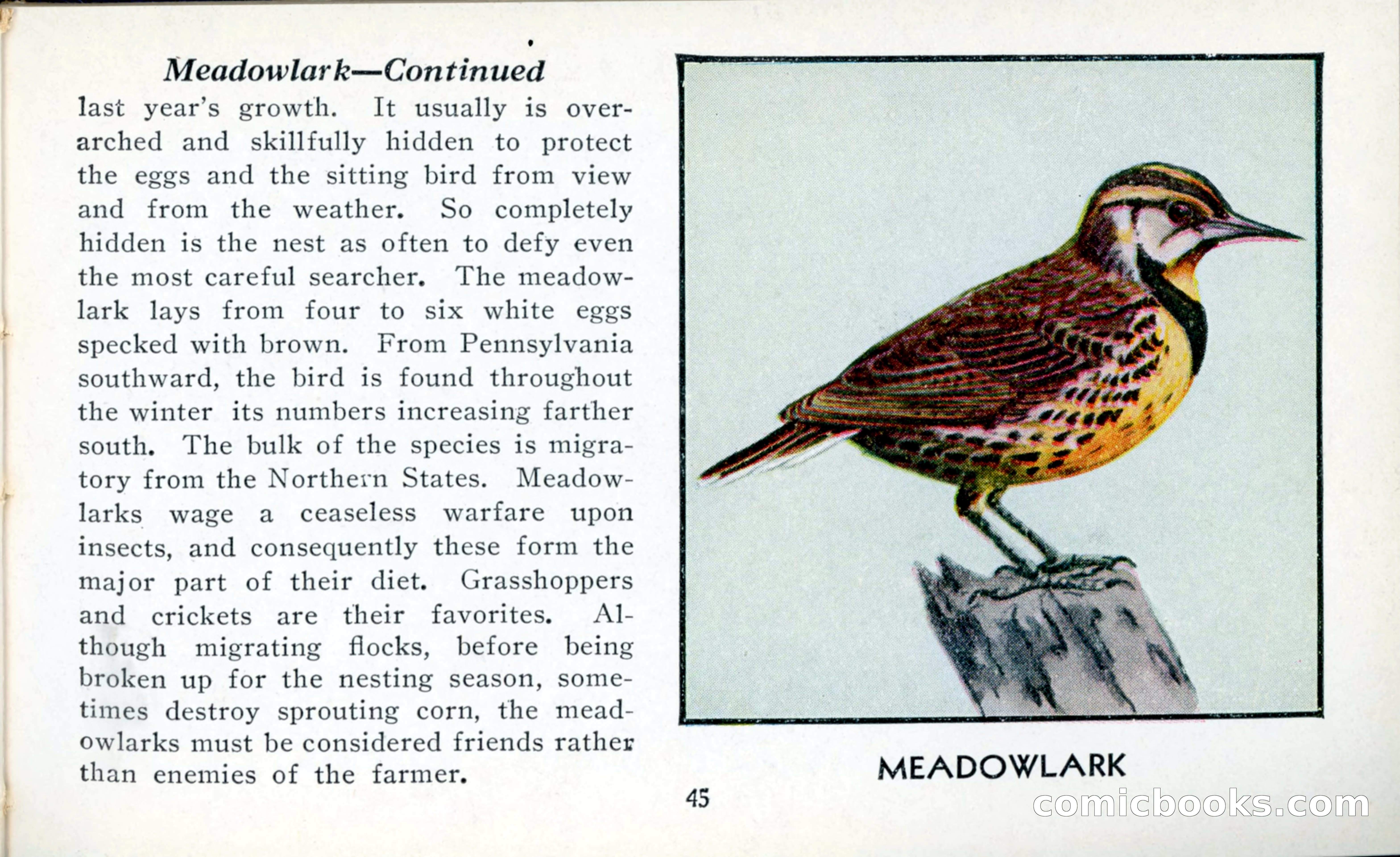 The Blue Book of Birds of America — page 46 of 98
