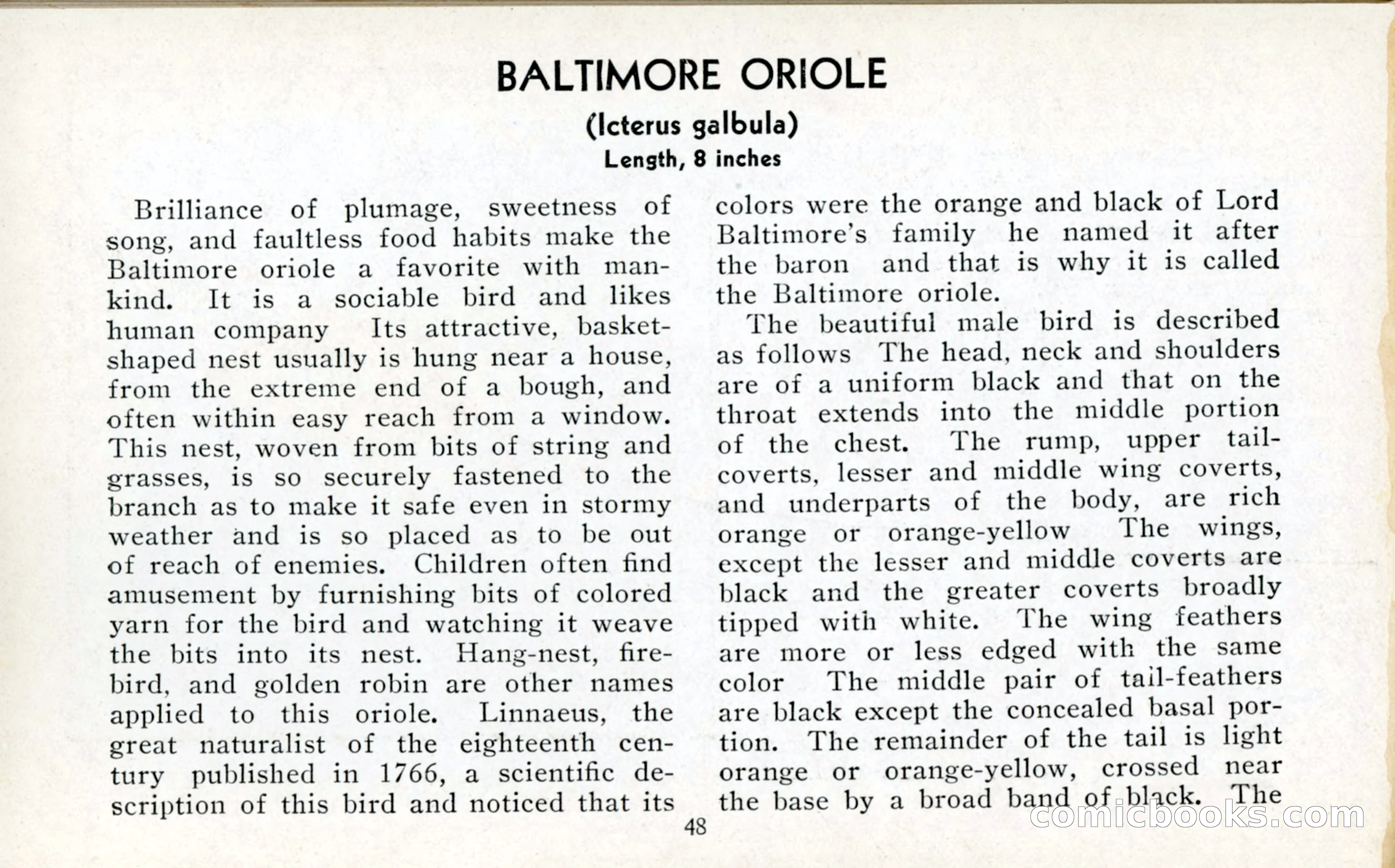 The Blue Book of Birds of America — page 49 of 98