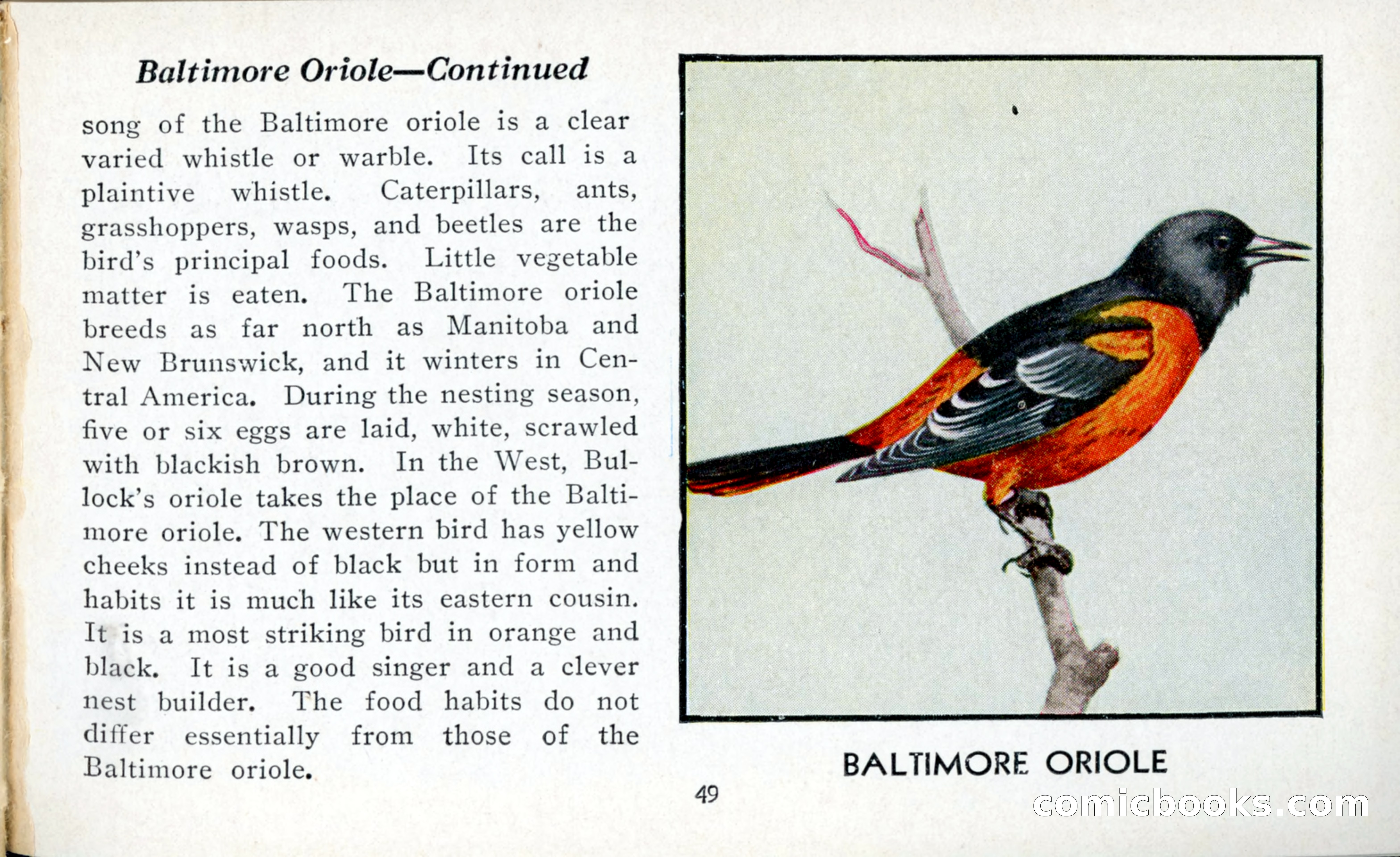 The Blue Book of Birds of America — page 50 of 98