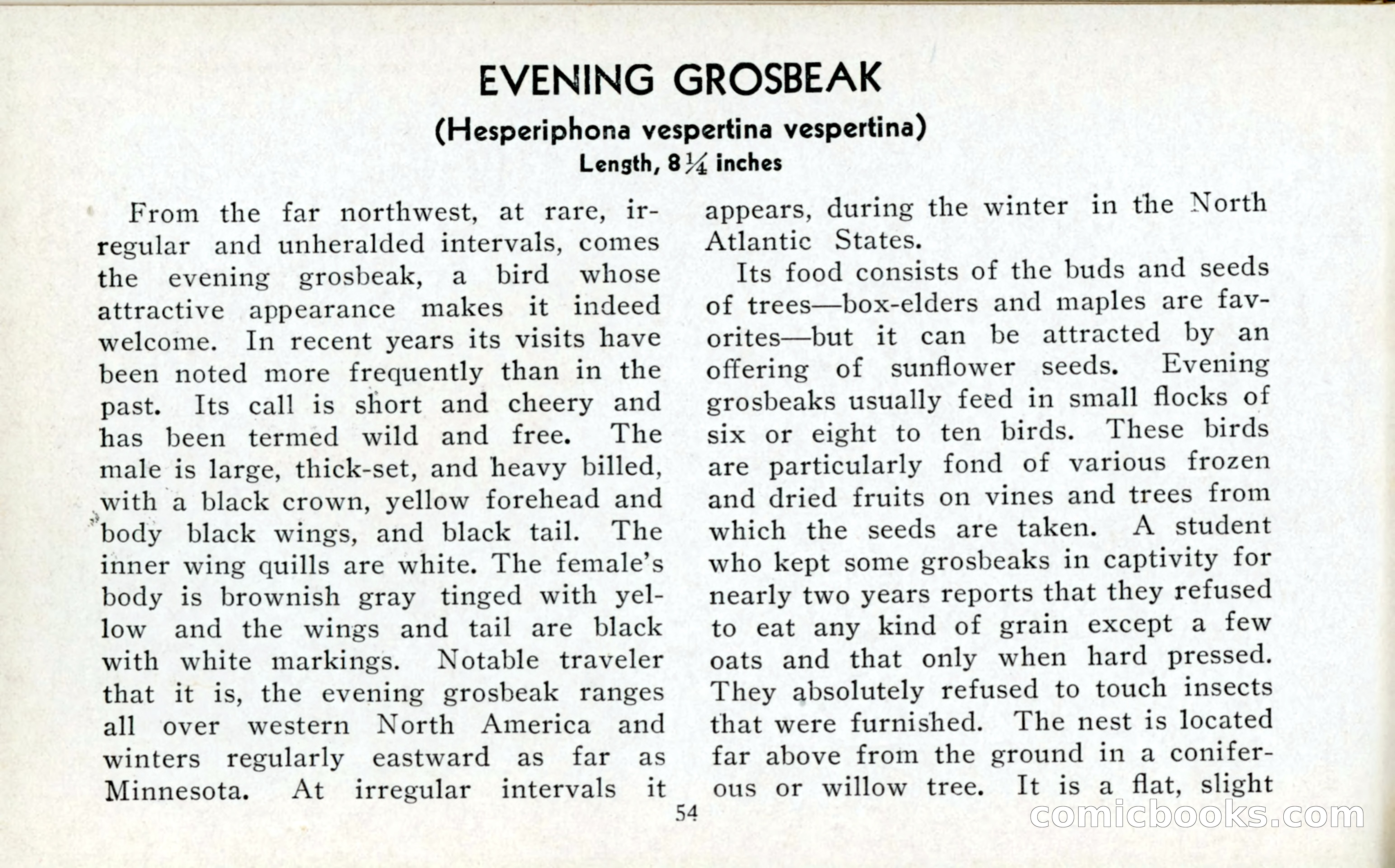 The Blue Book of Birds of America — page 55 of 98