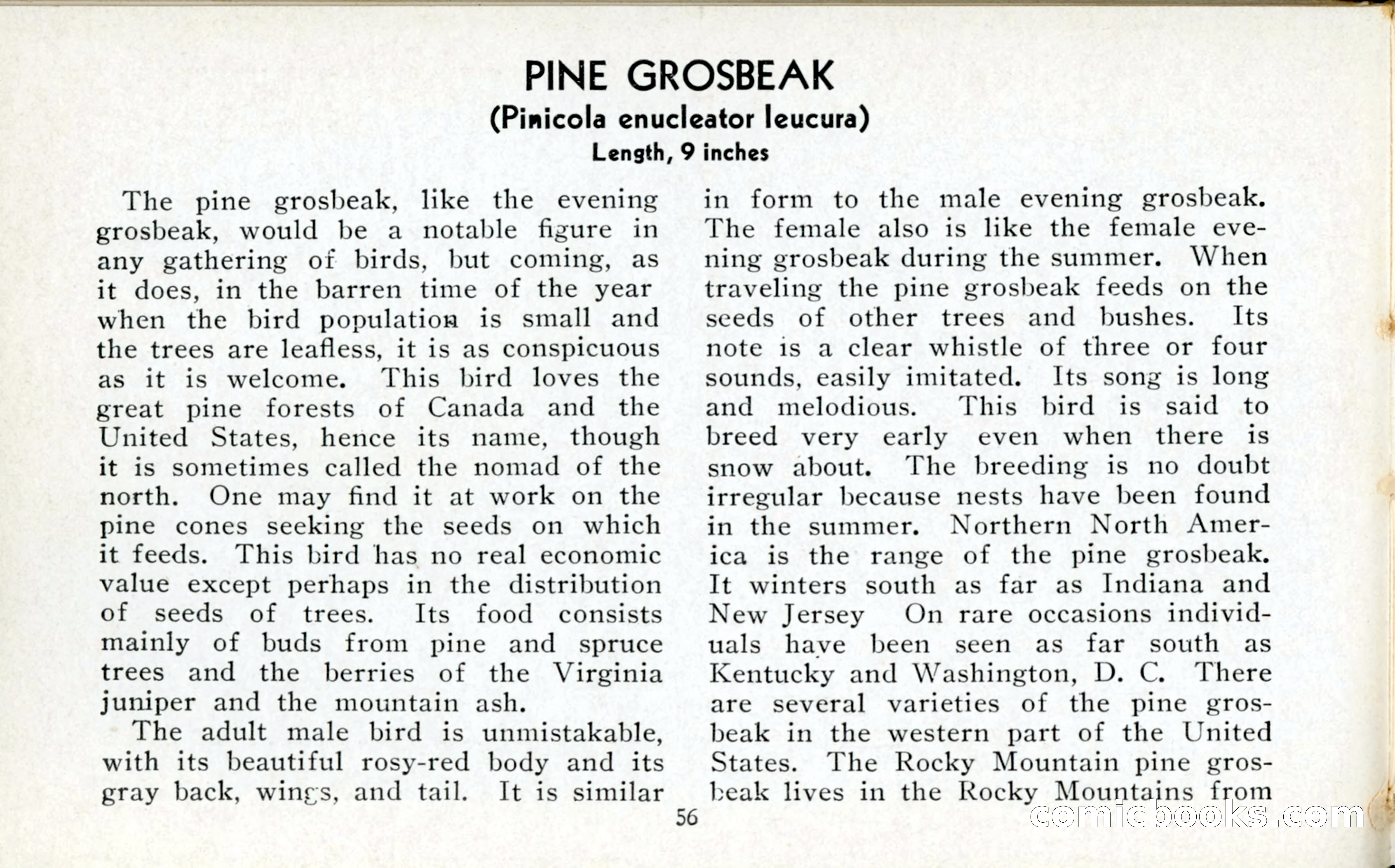 The Blue Book of Birds of America — page 57 of 98