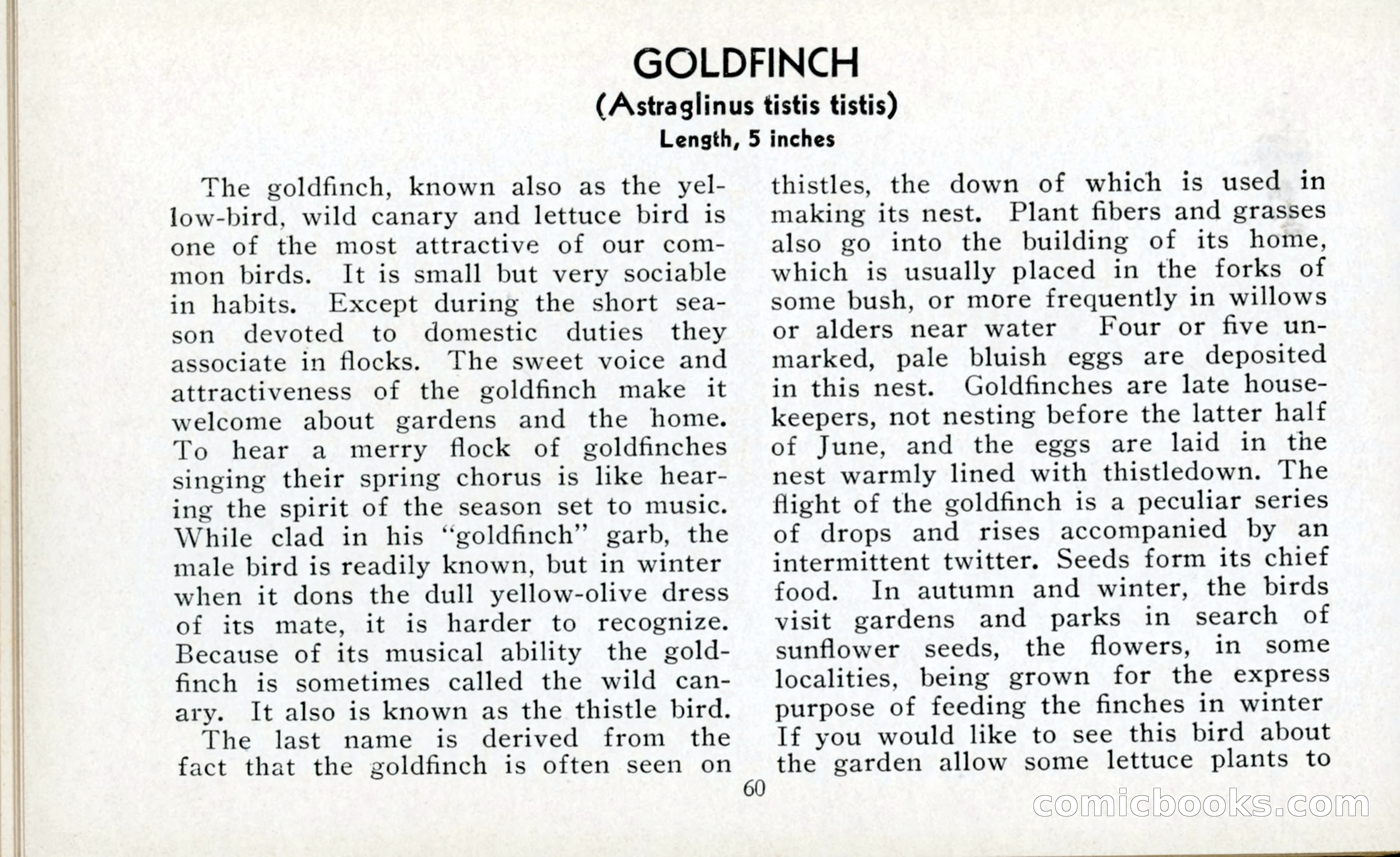The Blue Book of Birds of America — page 61 of 98