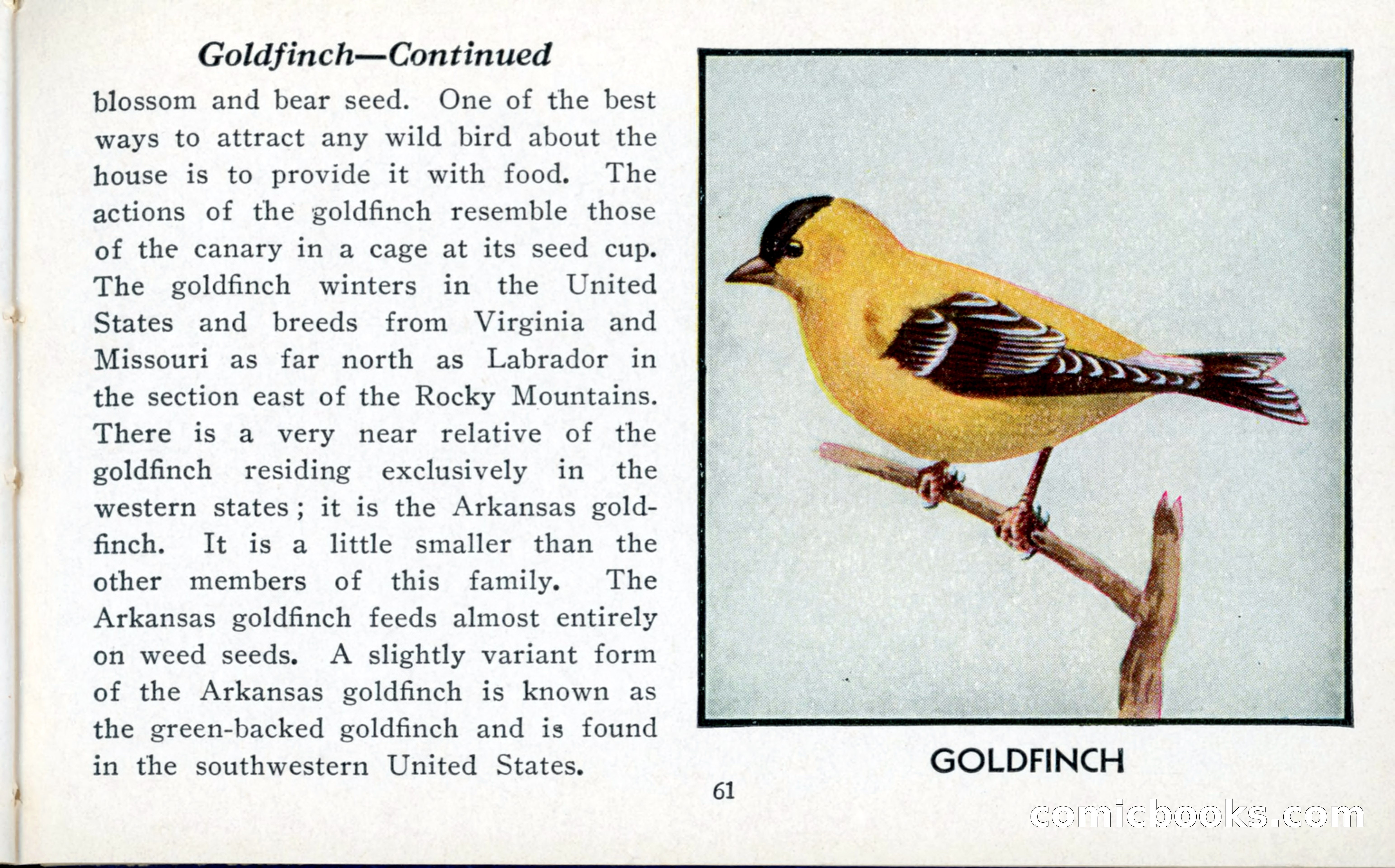 The Blue Book of Birds of America — page 62 of 98