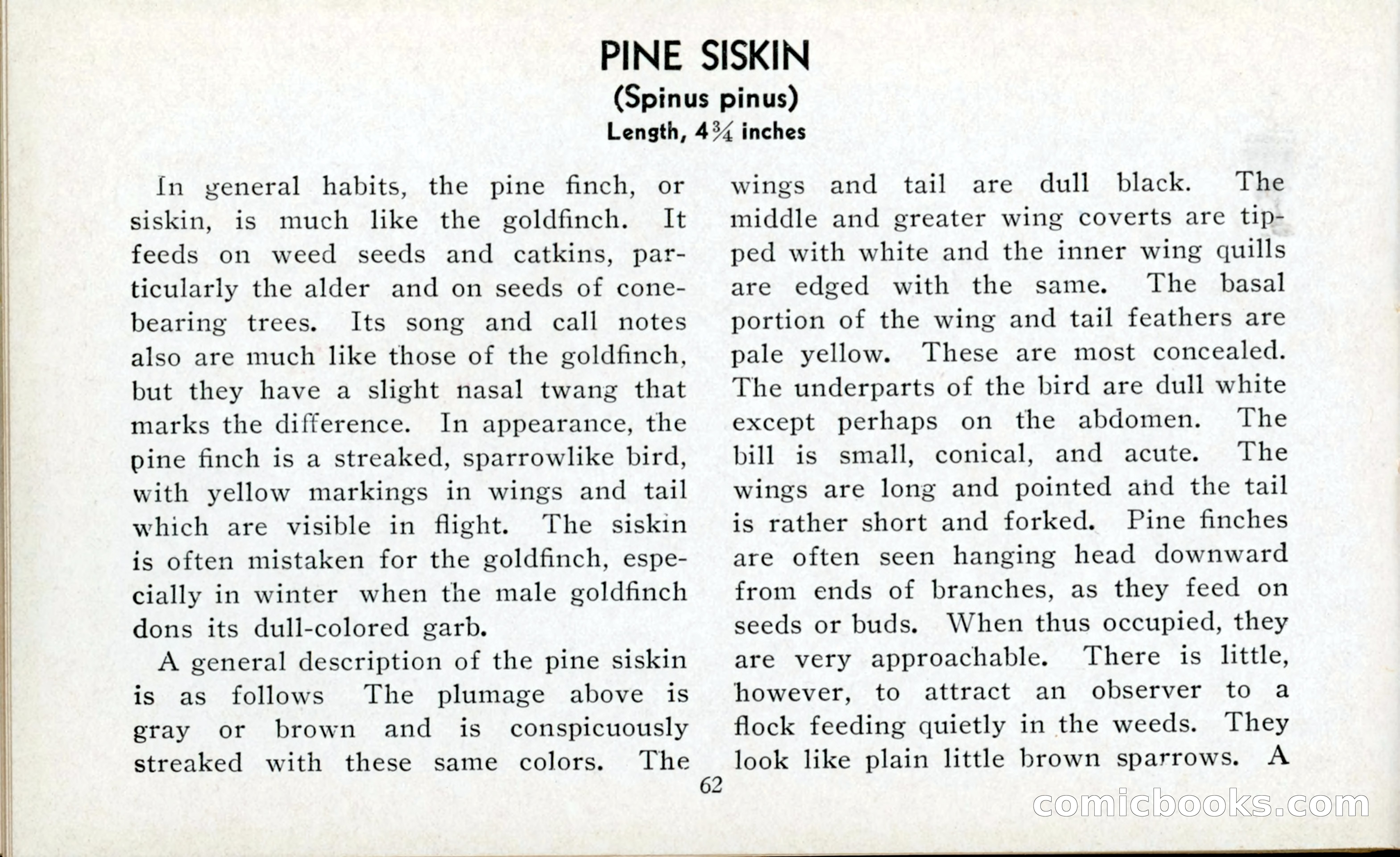 The Blue Book of Birds of America — page 63 of 98