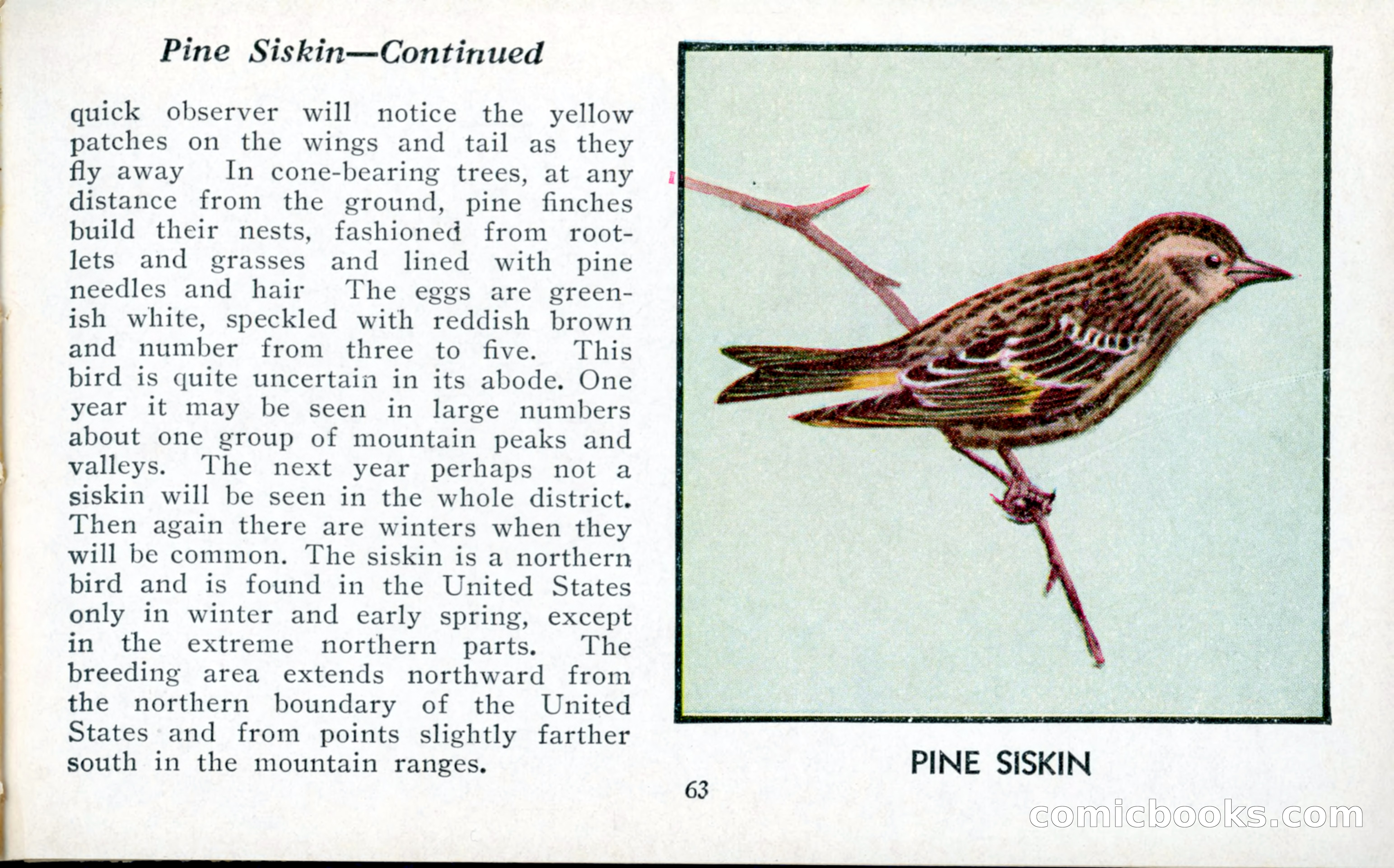 The Blue Book of Birds of America — page 64 of 98