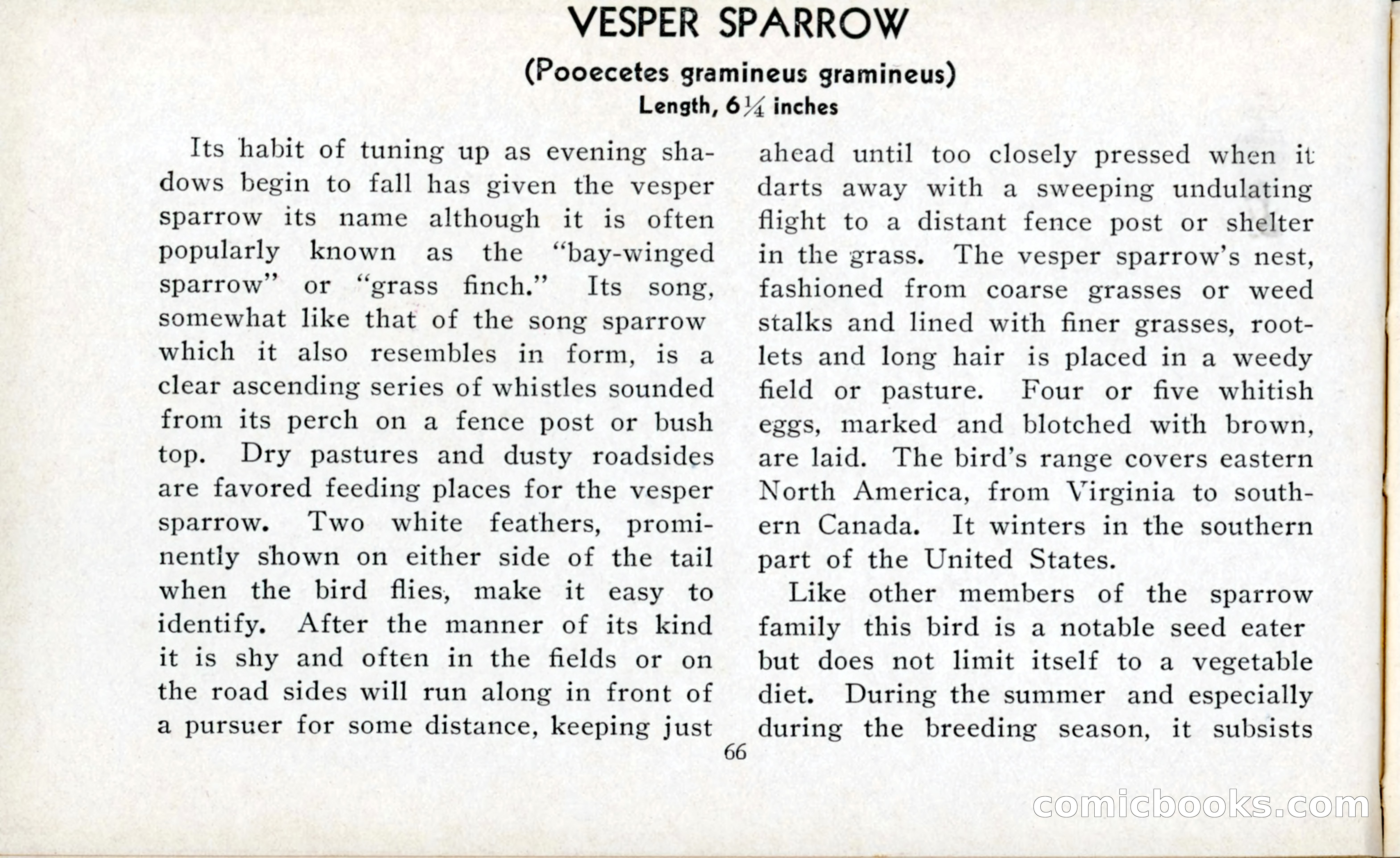 The Blue Book of Birds of America — page 67 of 98