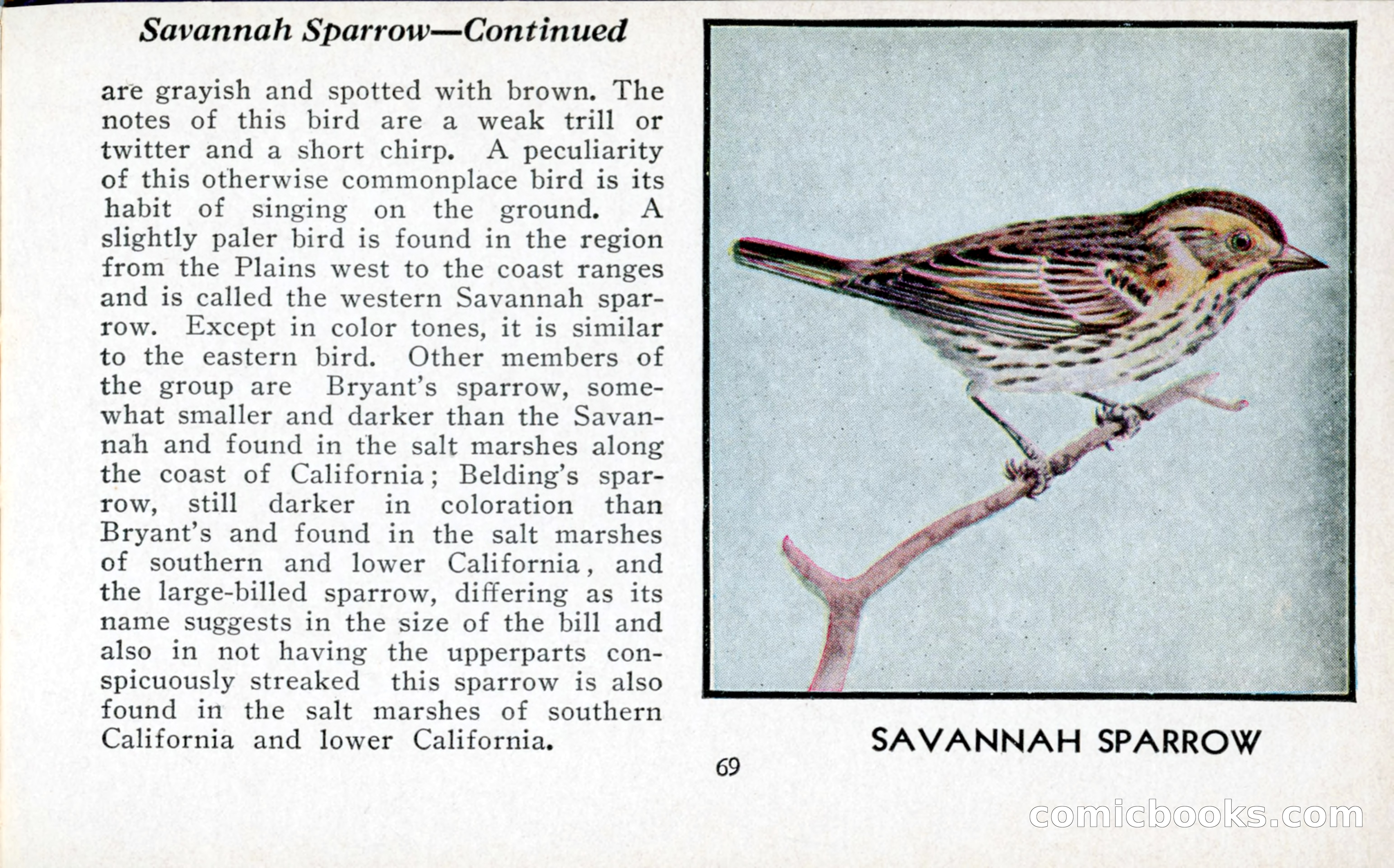 The Blue Book of Birds of America — page 70 of 98