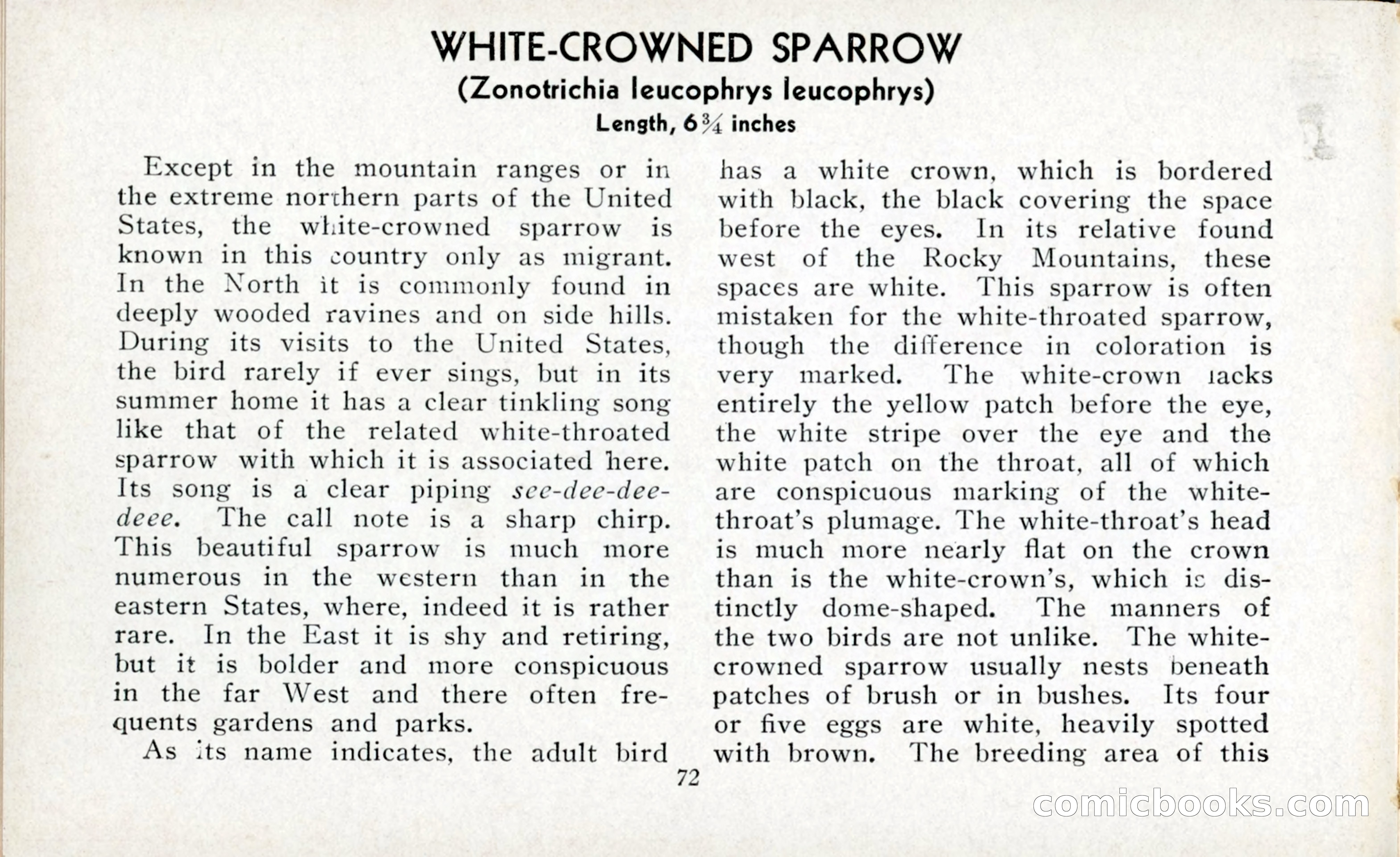 The Blue Book of Birds of America — page 73 of 98