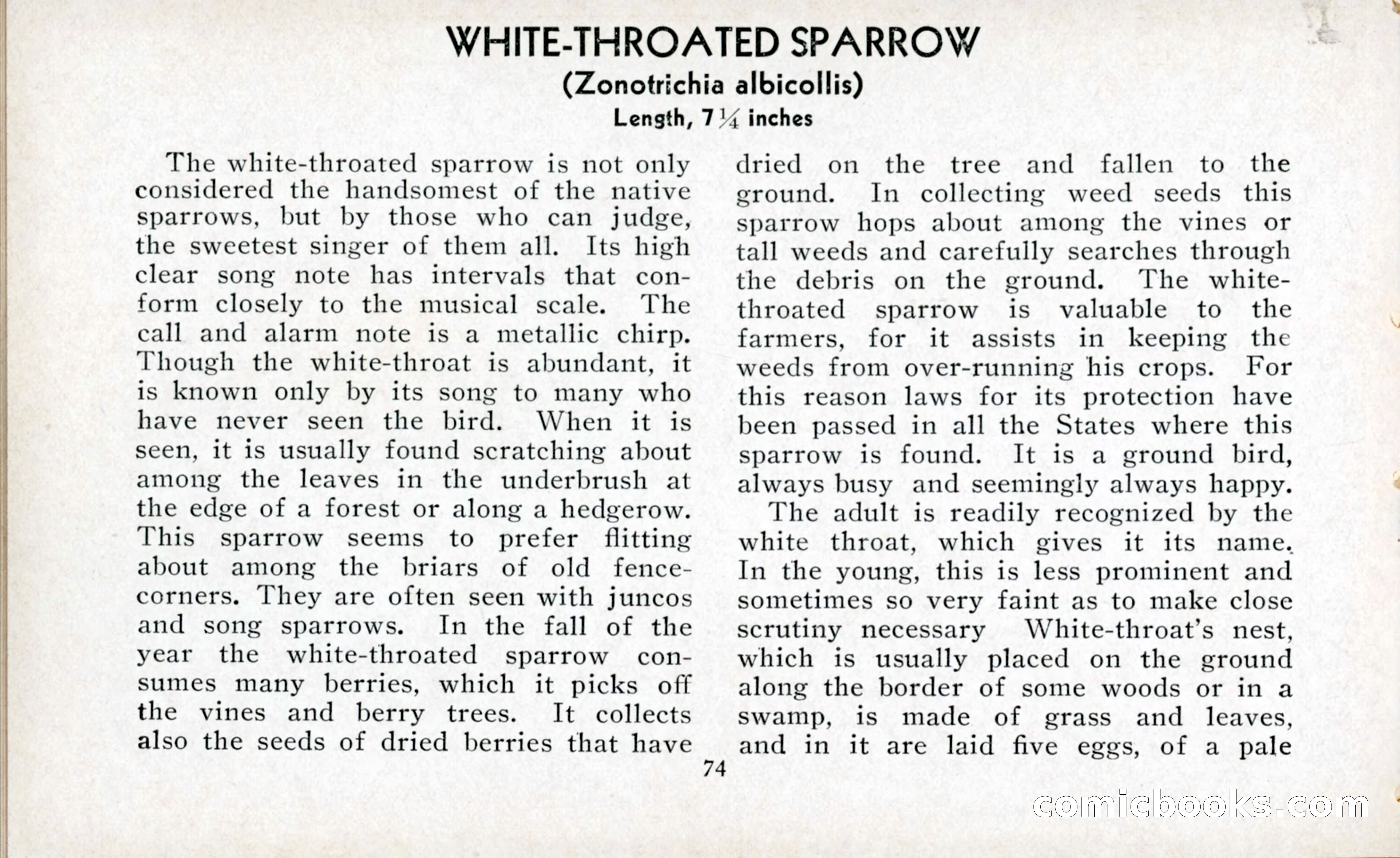The Blue Book of Birds of America — page 75 of 98