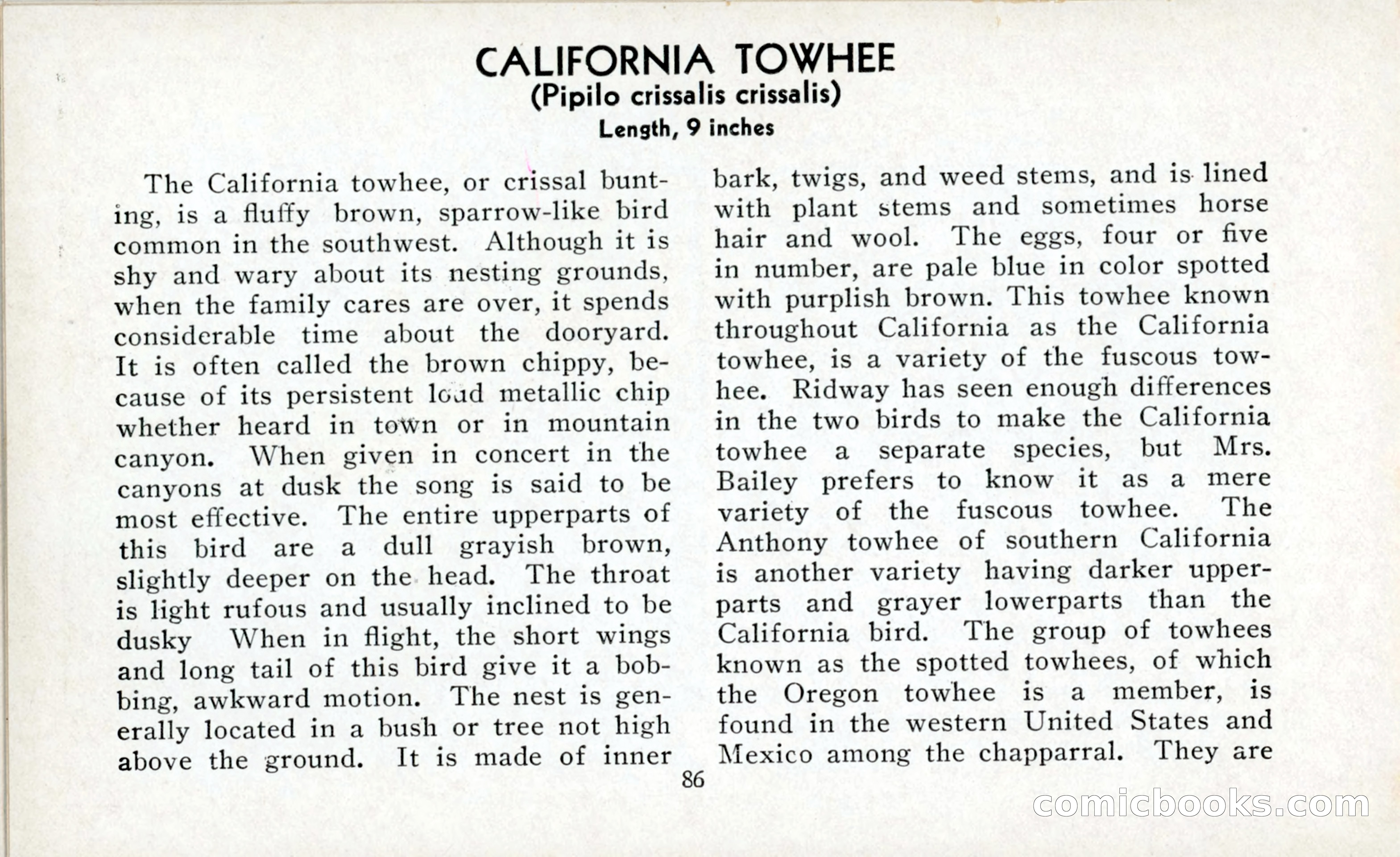 The Blue Book of Birds of America — page 87 of 98