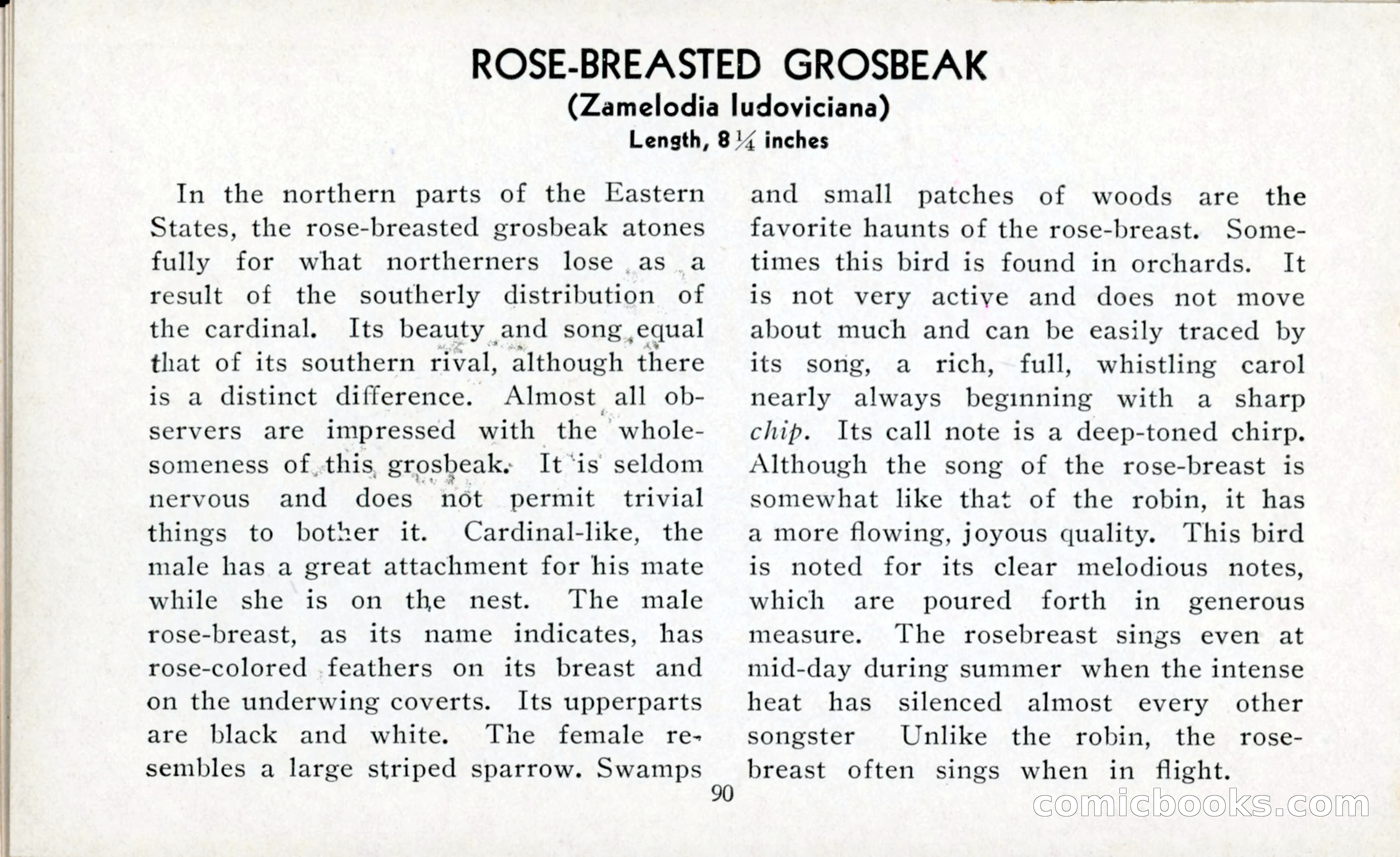 The Blue Book of Birds of America — page 91 of 98