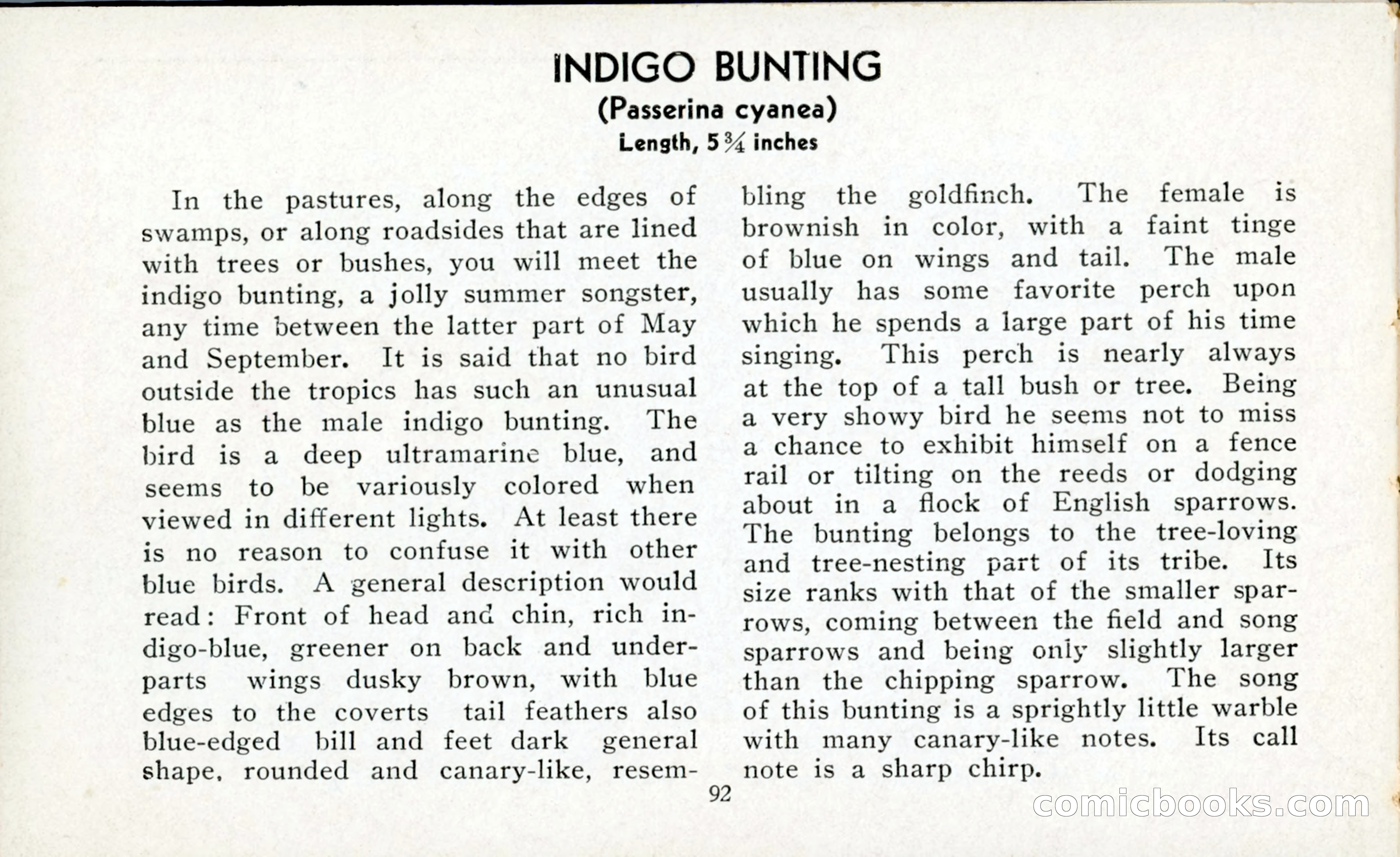The Blue Book of Birds of America — page 93 of 98