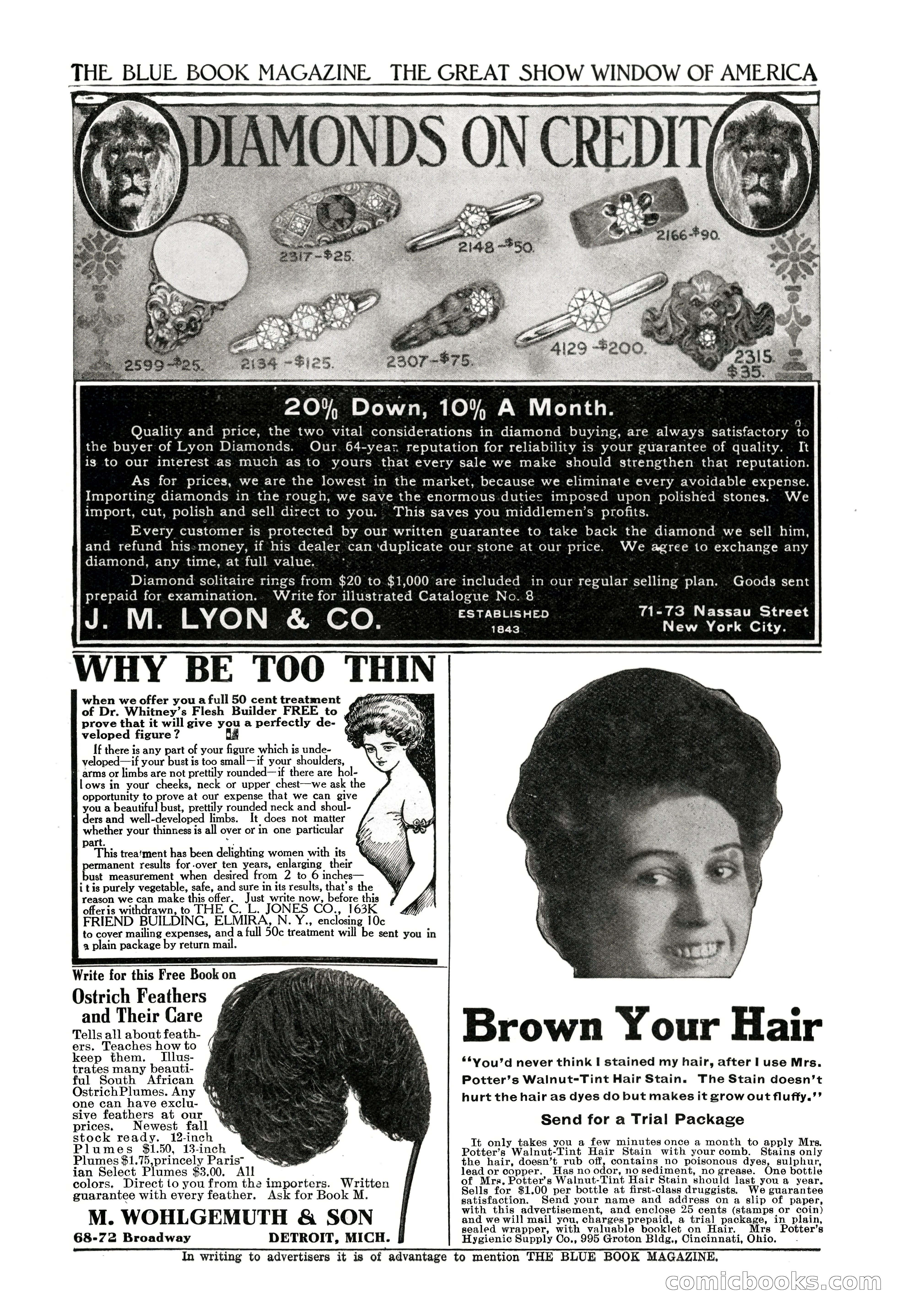 The Blue Book Magazine, November 1909 — page 243 of 254