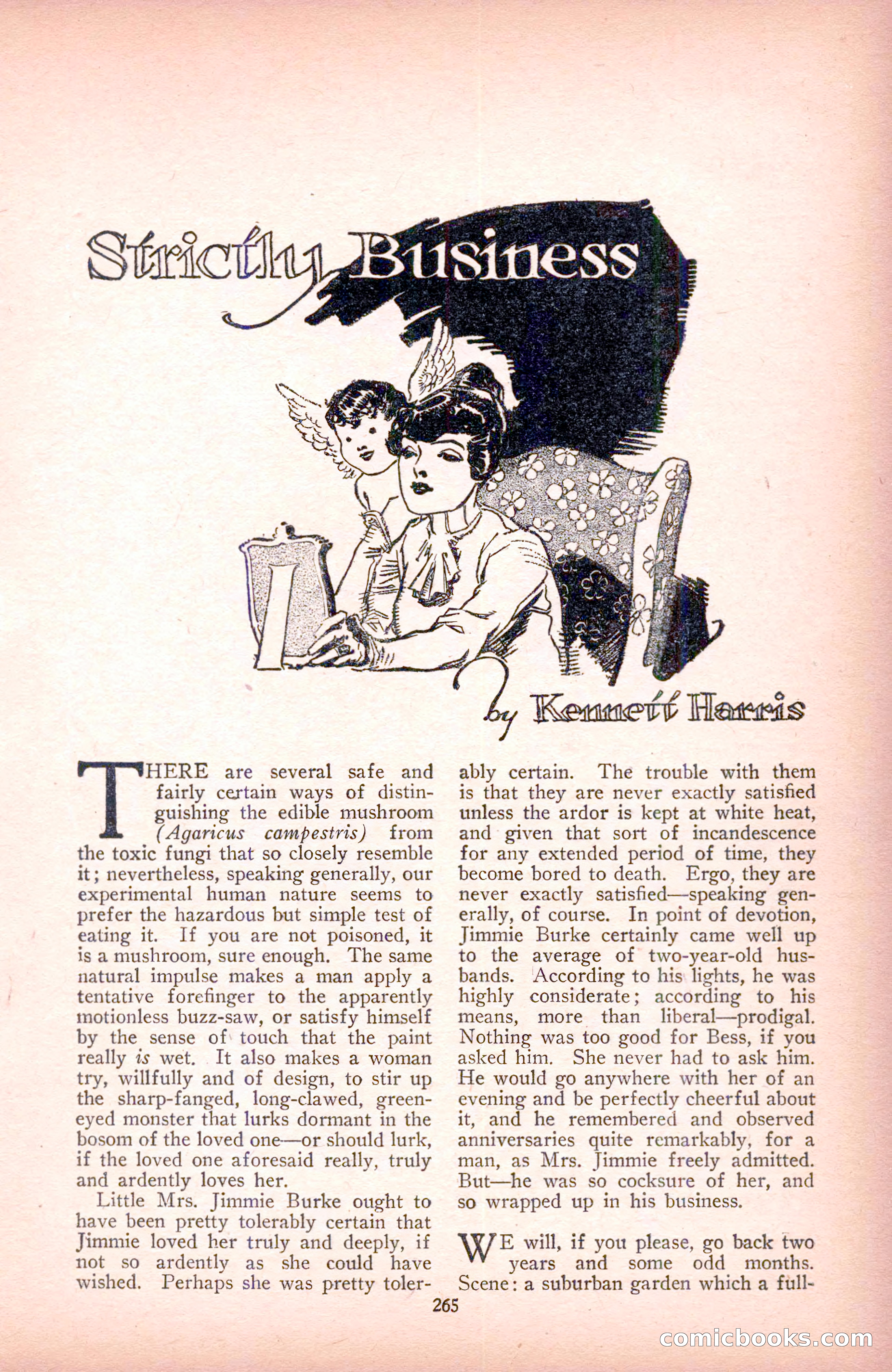 The Blue Book Magazine, December 1916 — page 31 of 268