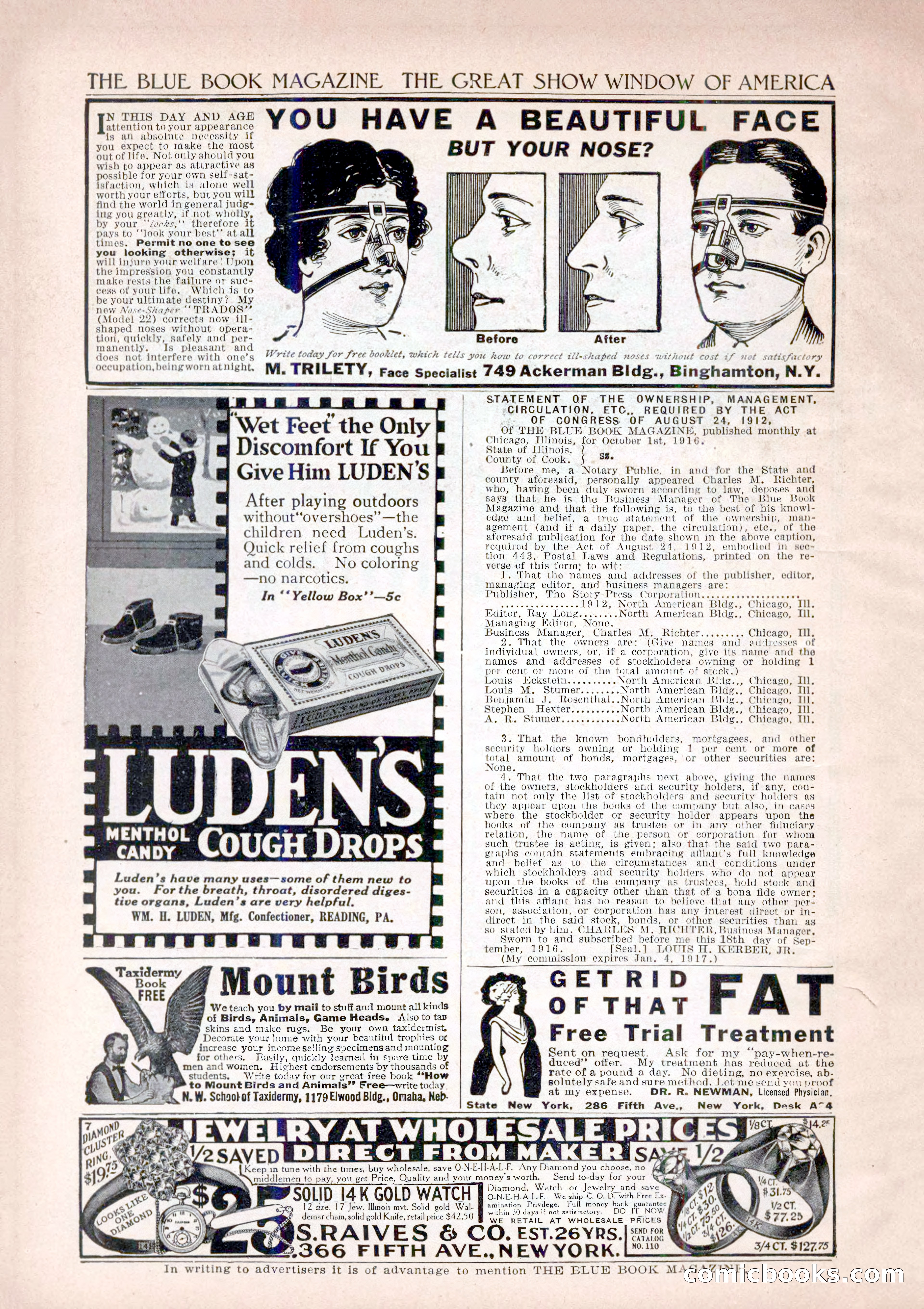 The Blue Book Magazine, December 1916 — page 252 of 268