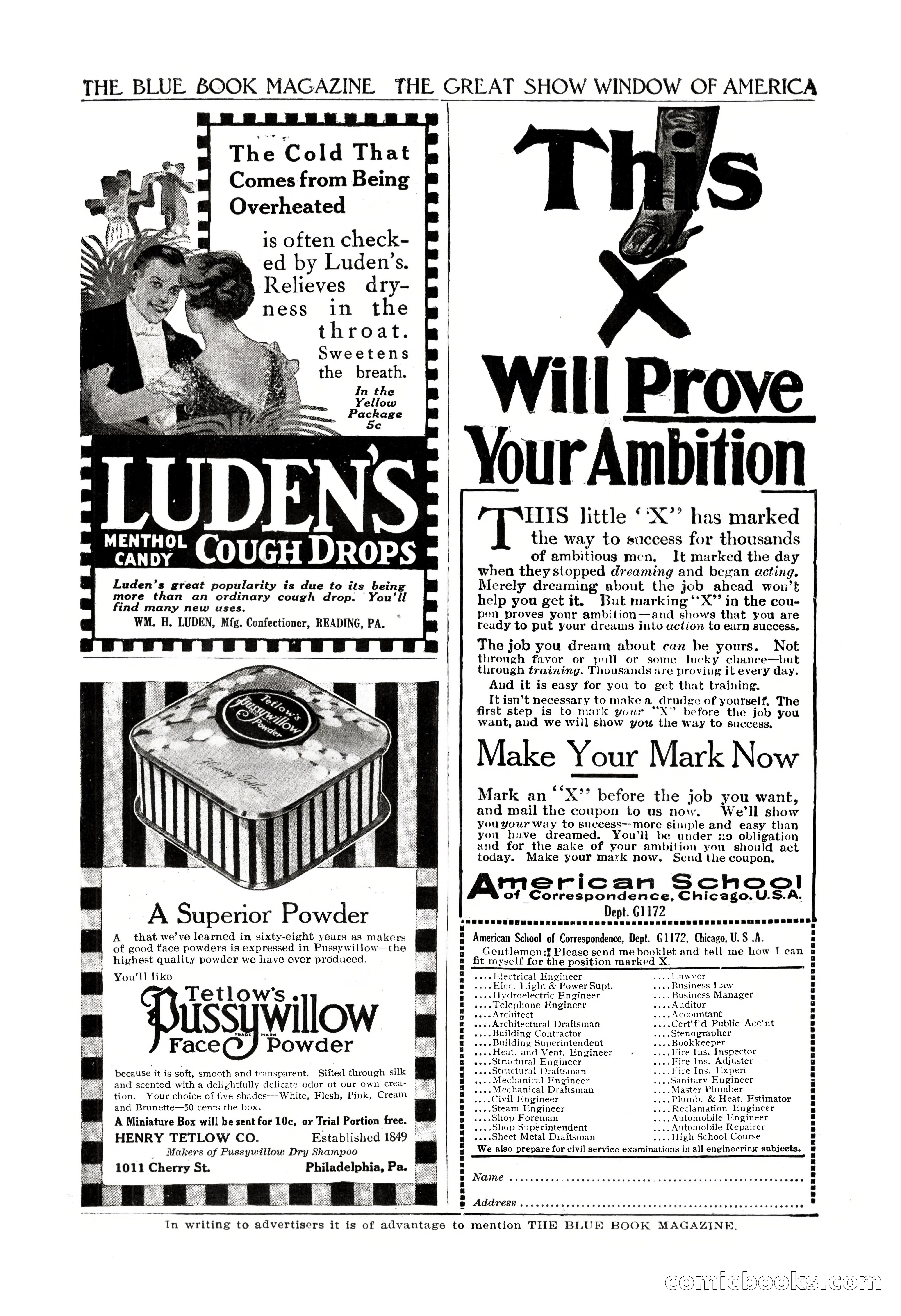 The Blue Book Magazine, February 1917 — page 255 of 264