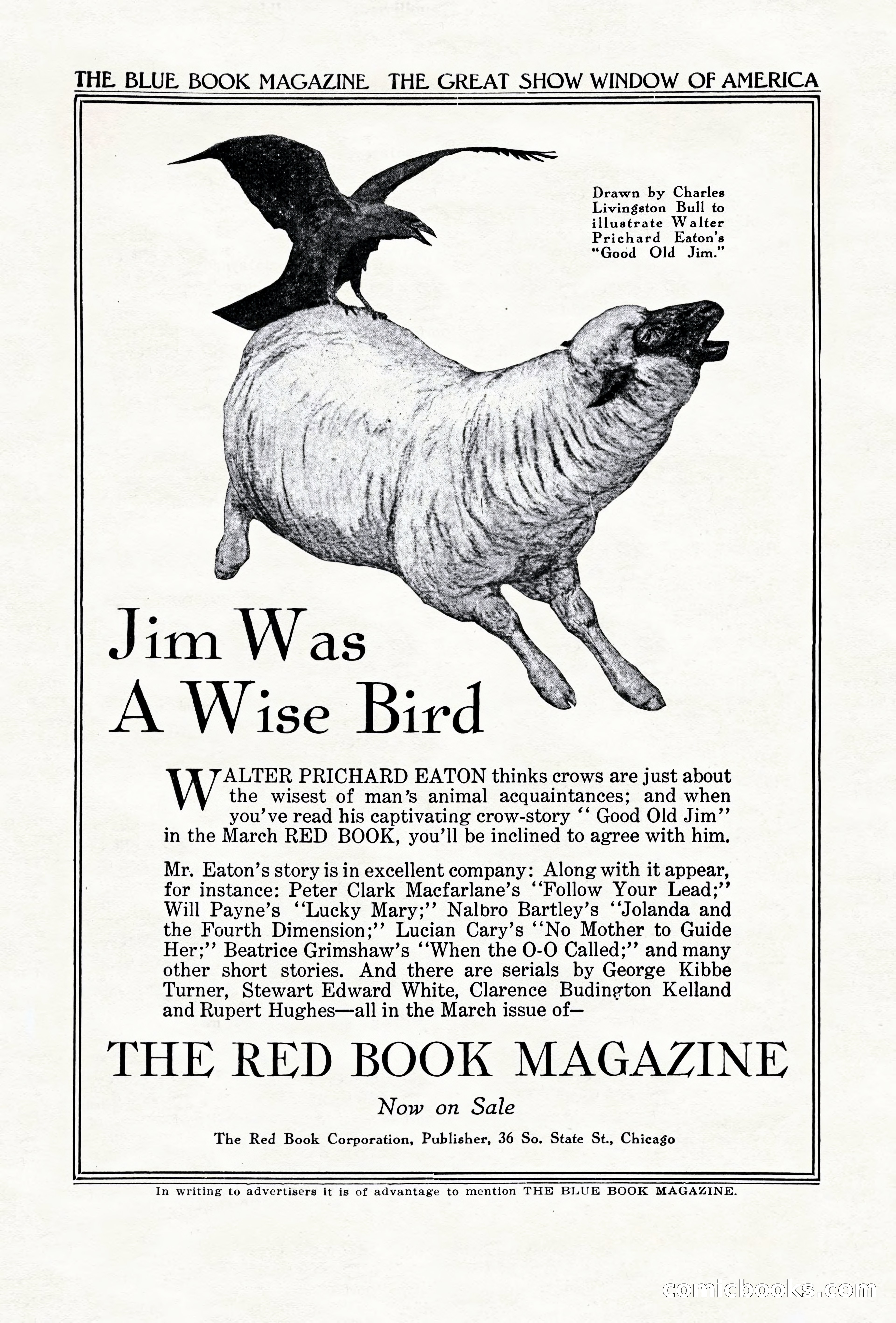 The Blue Book Magazine, April 1920 — page 209 of 212