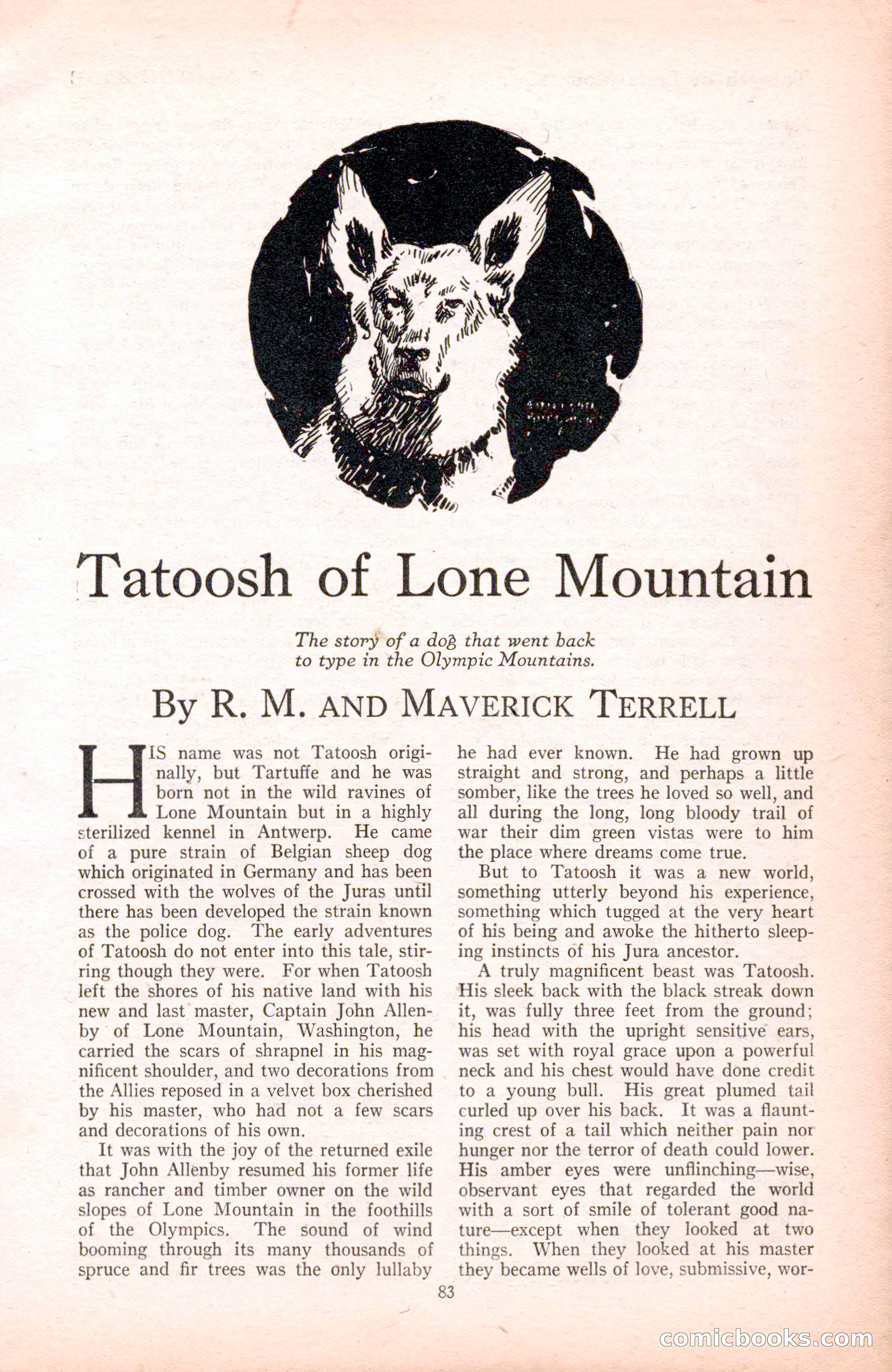 The Blue Book Magazine, November 1921 — page 89 of 212