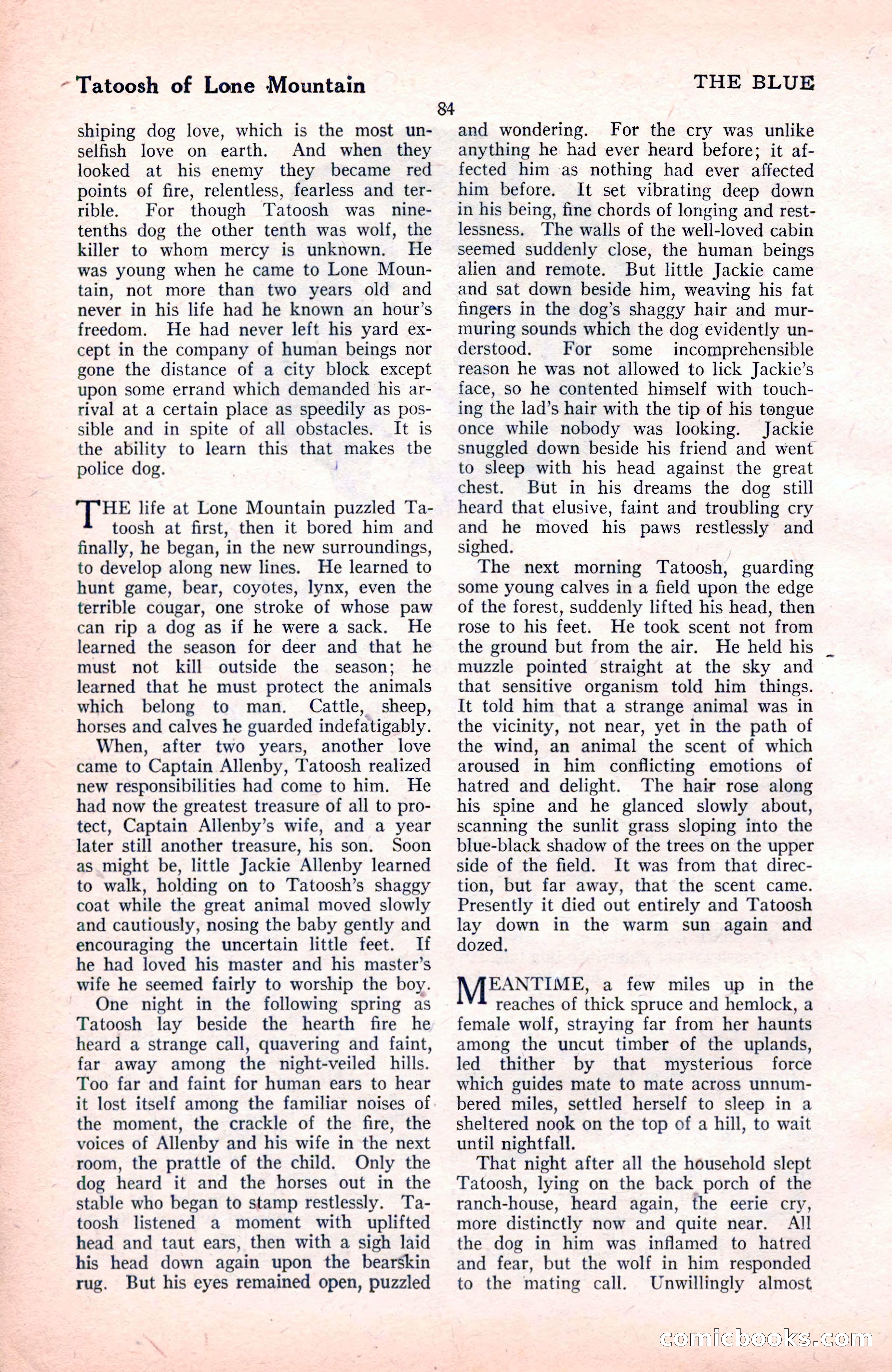 The Blue Book Magazine, November 1921 — page 90 of 212