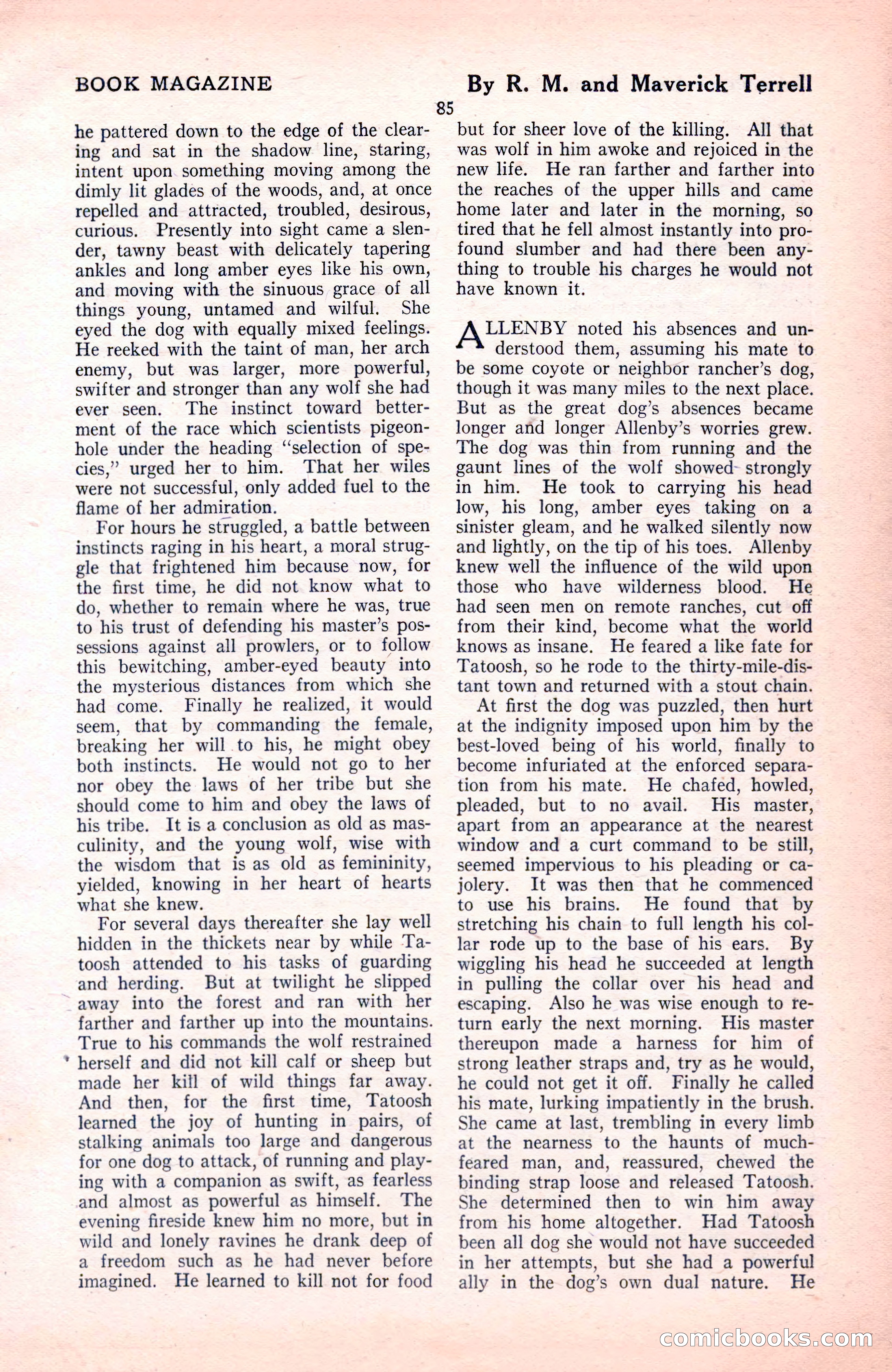 The Blue Book Magazine, November 1921 — page 91 of 212