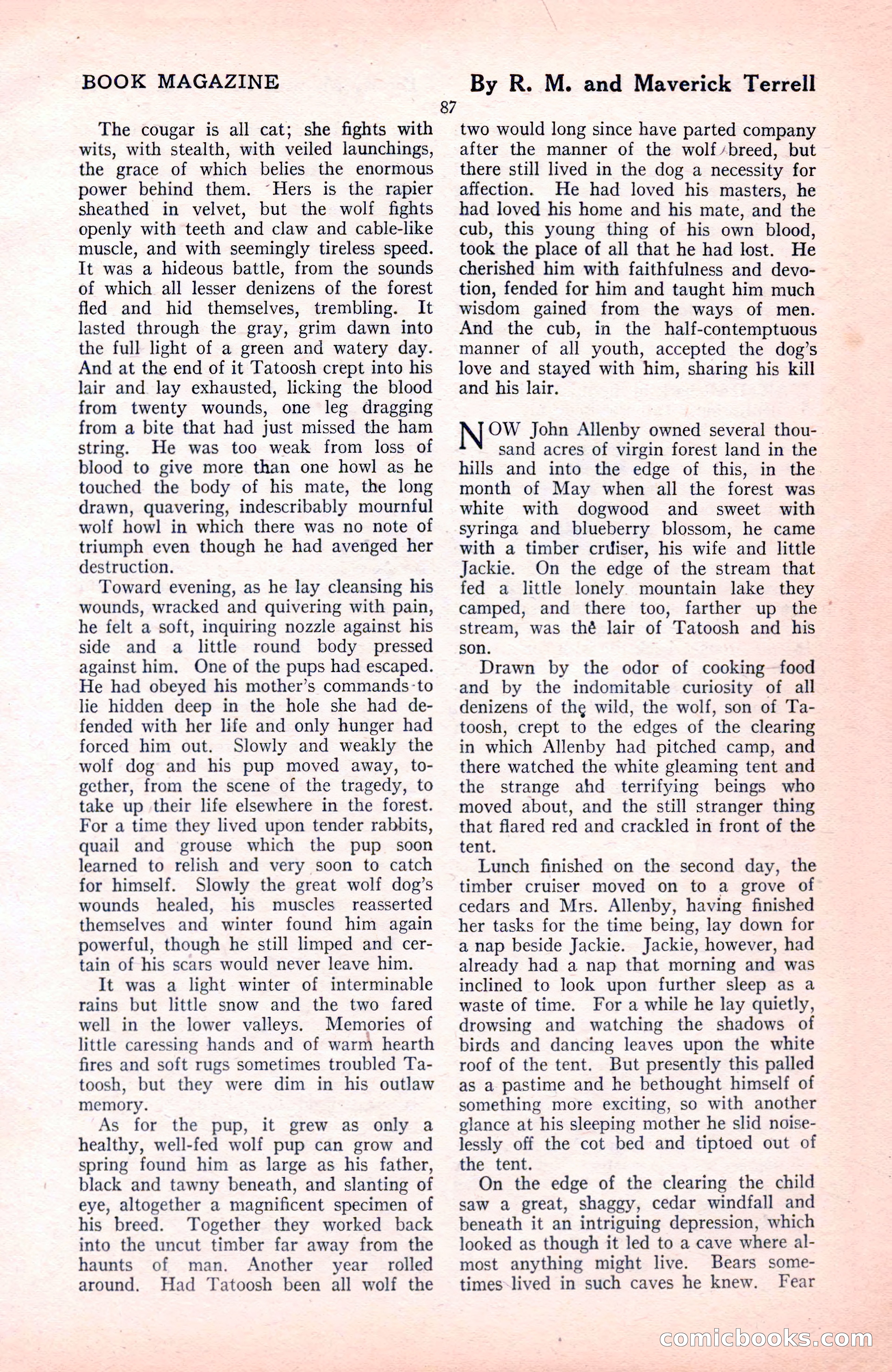 The Blue Book Magazine, November 1921 — page 93 of 212