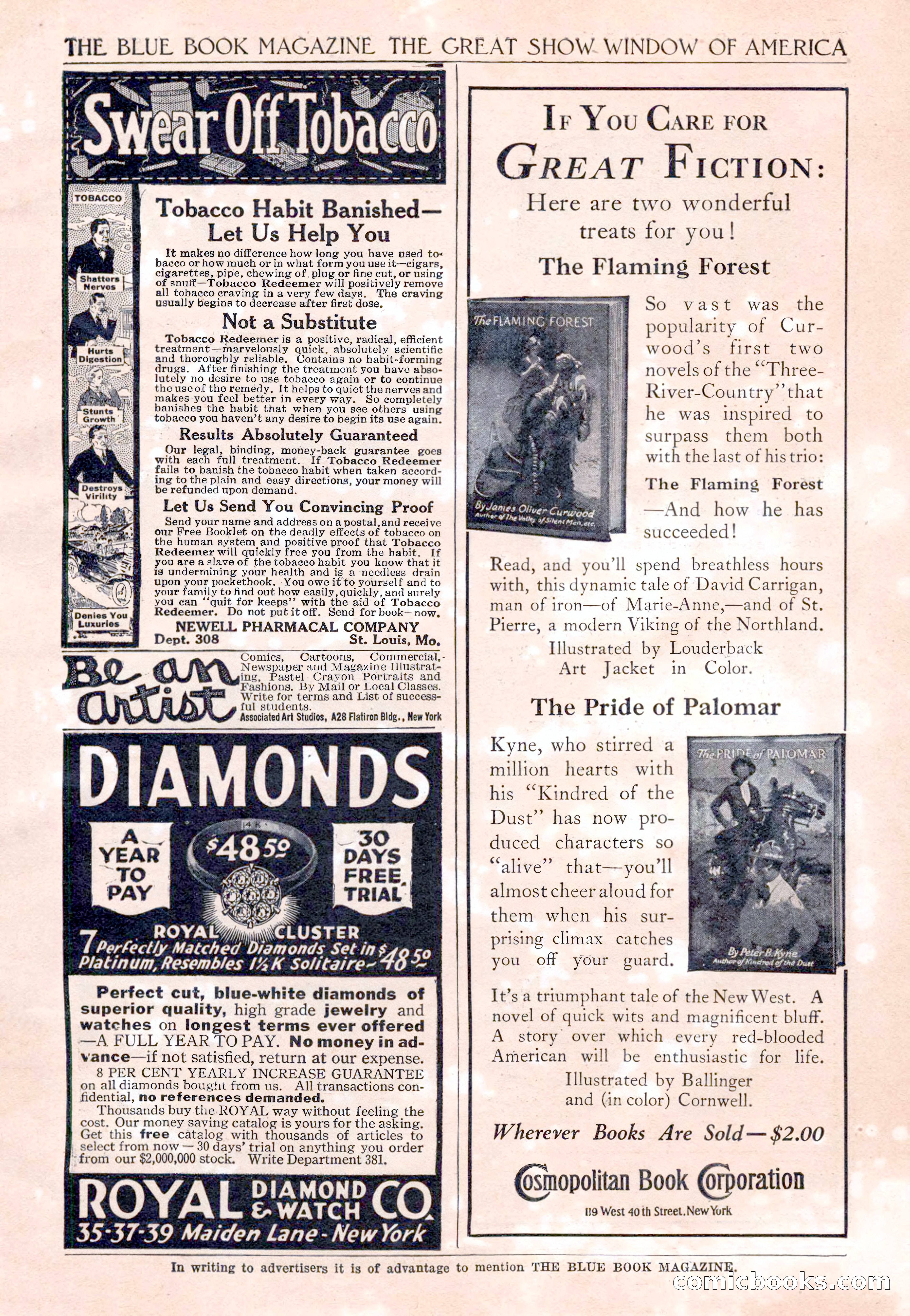 The Blue Book Magazine, November 1921 — page 209 of 212