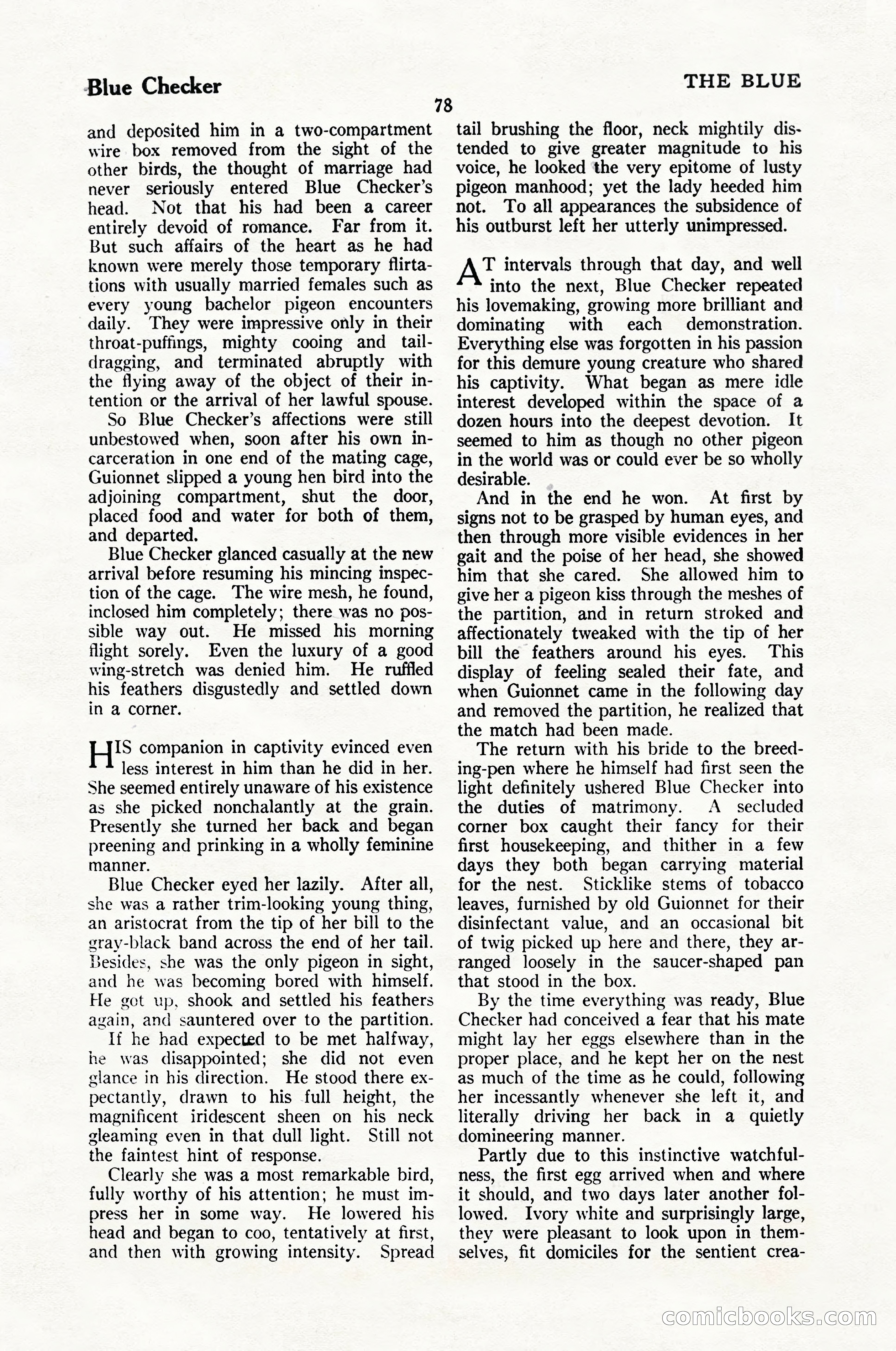 The Blue Book Magazine, February 1924 — page 84 of 216