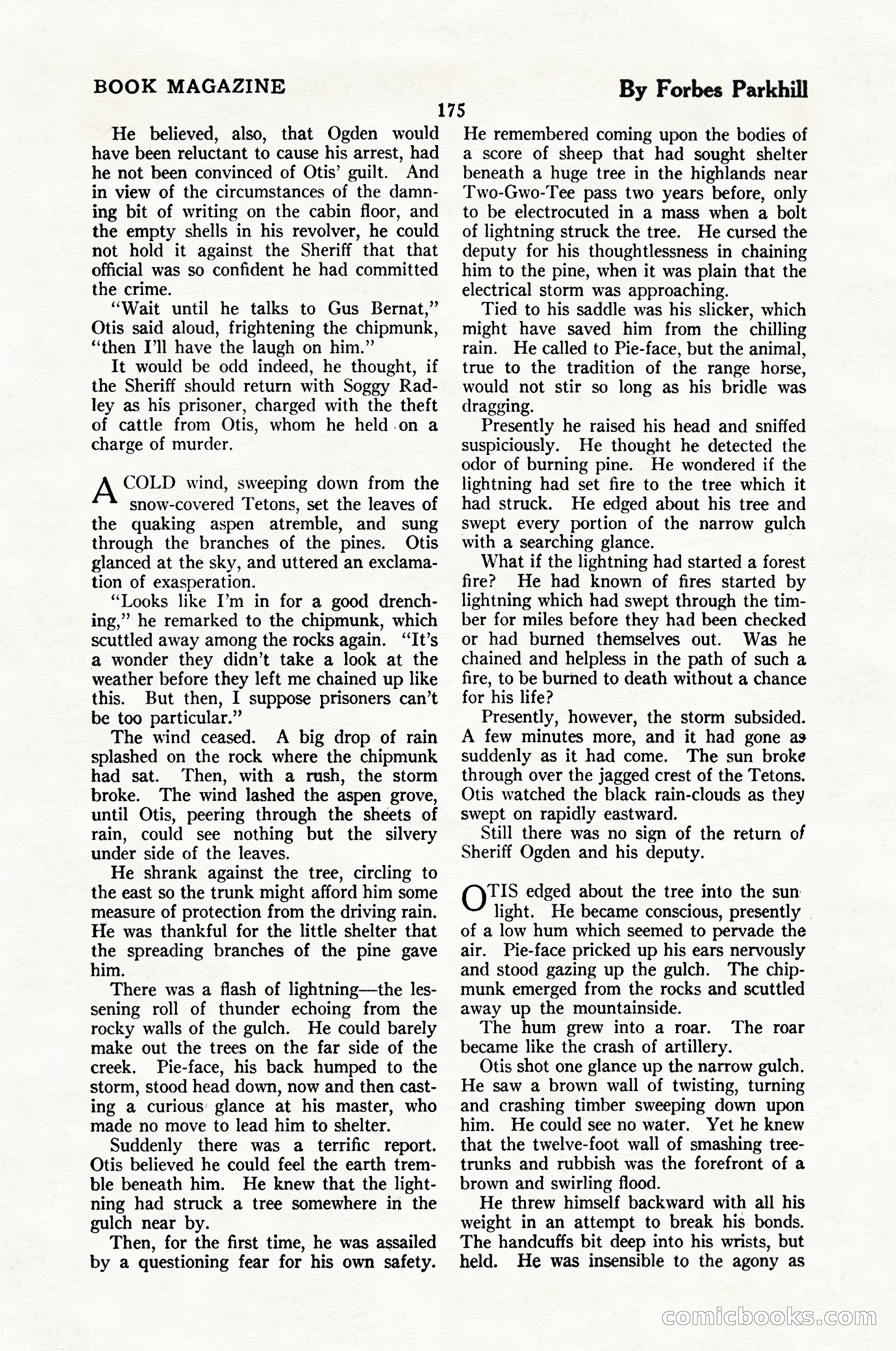 The Blue Book Magazine, February 1924 — page 181 of 216