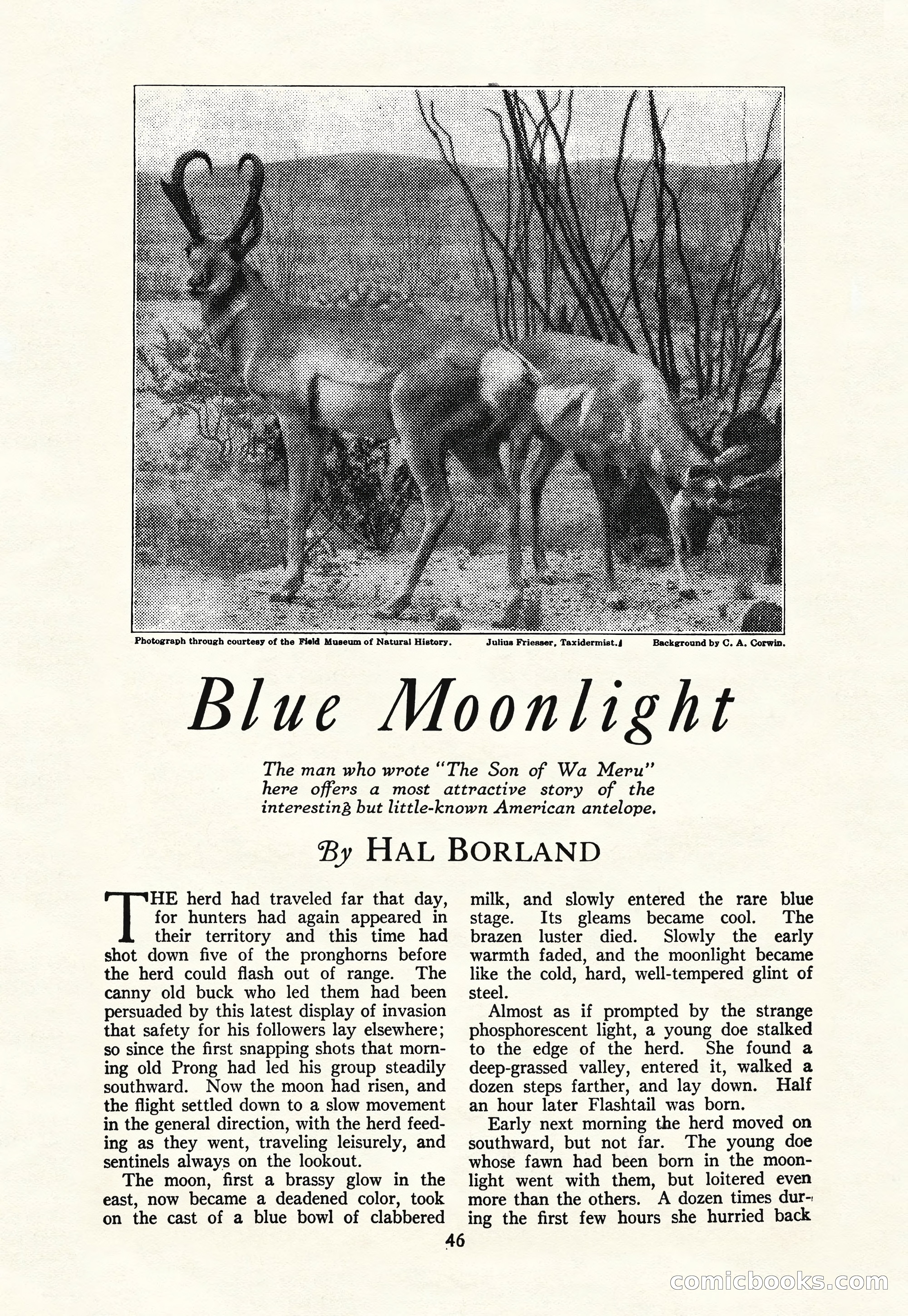The Blue Book Magazine, March 1926 — page 48 of 208