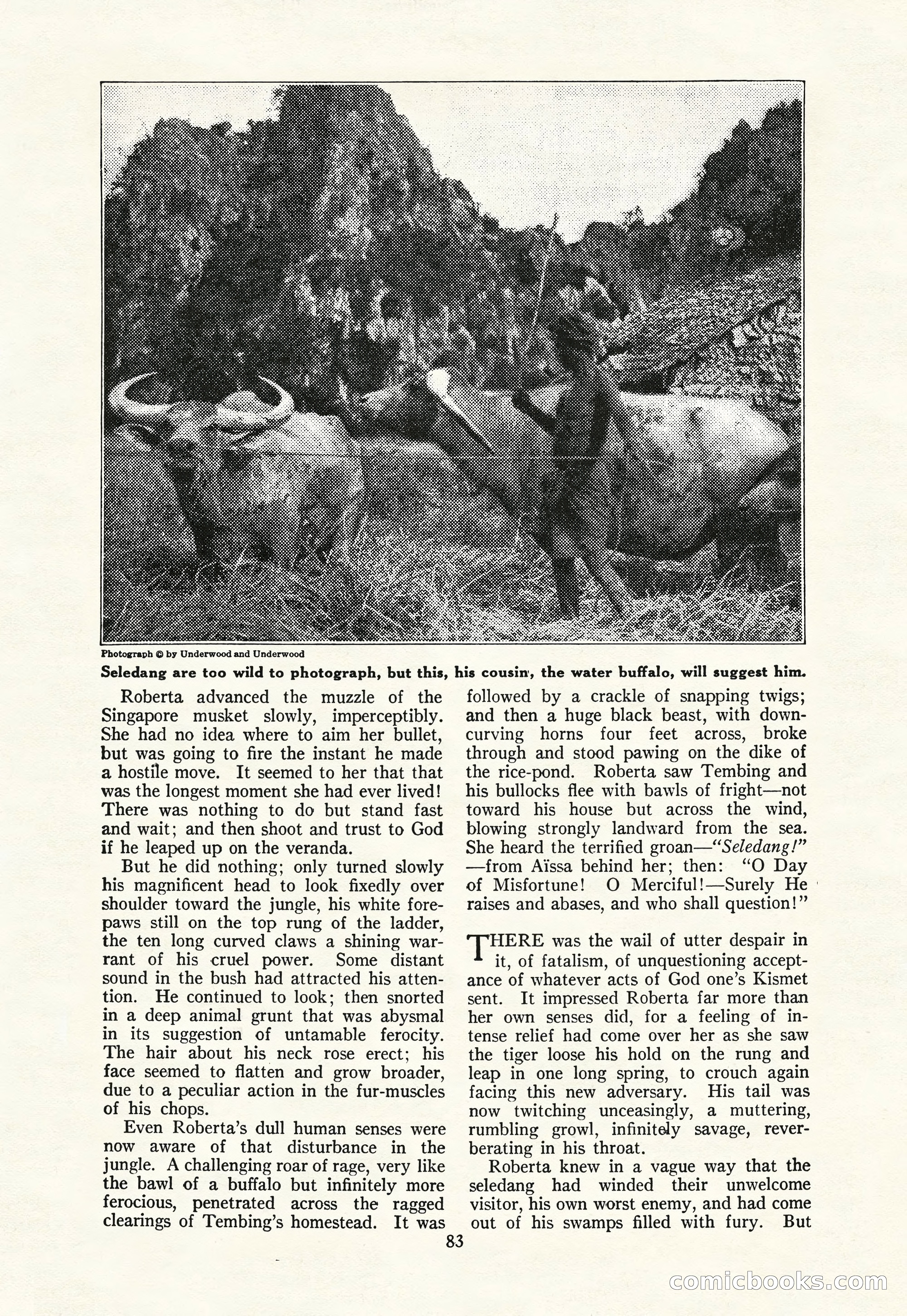 The Blue Book Magazine, March 1926 — page 85 of 208