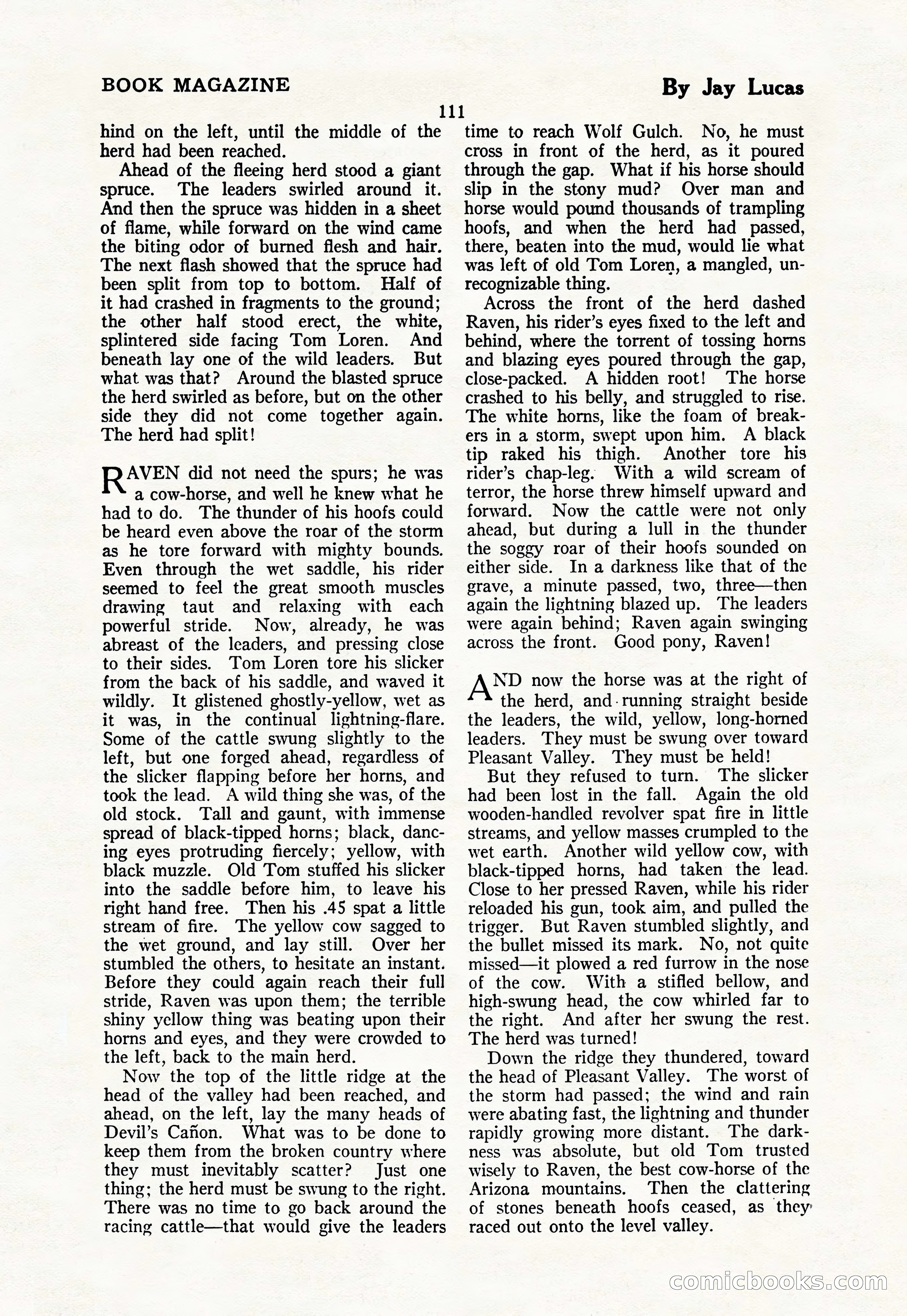 The Blue Book Magazine, March 1926 — page 113 of 208