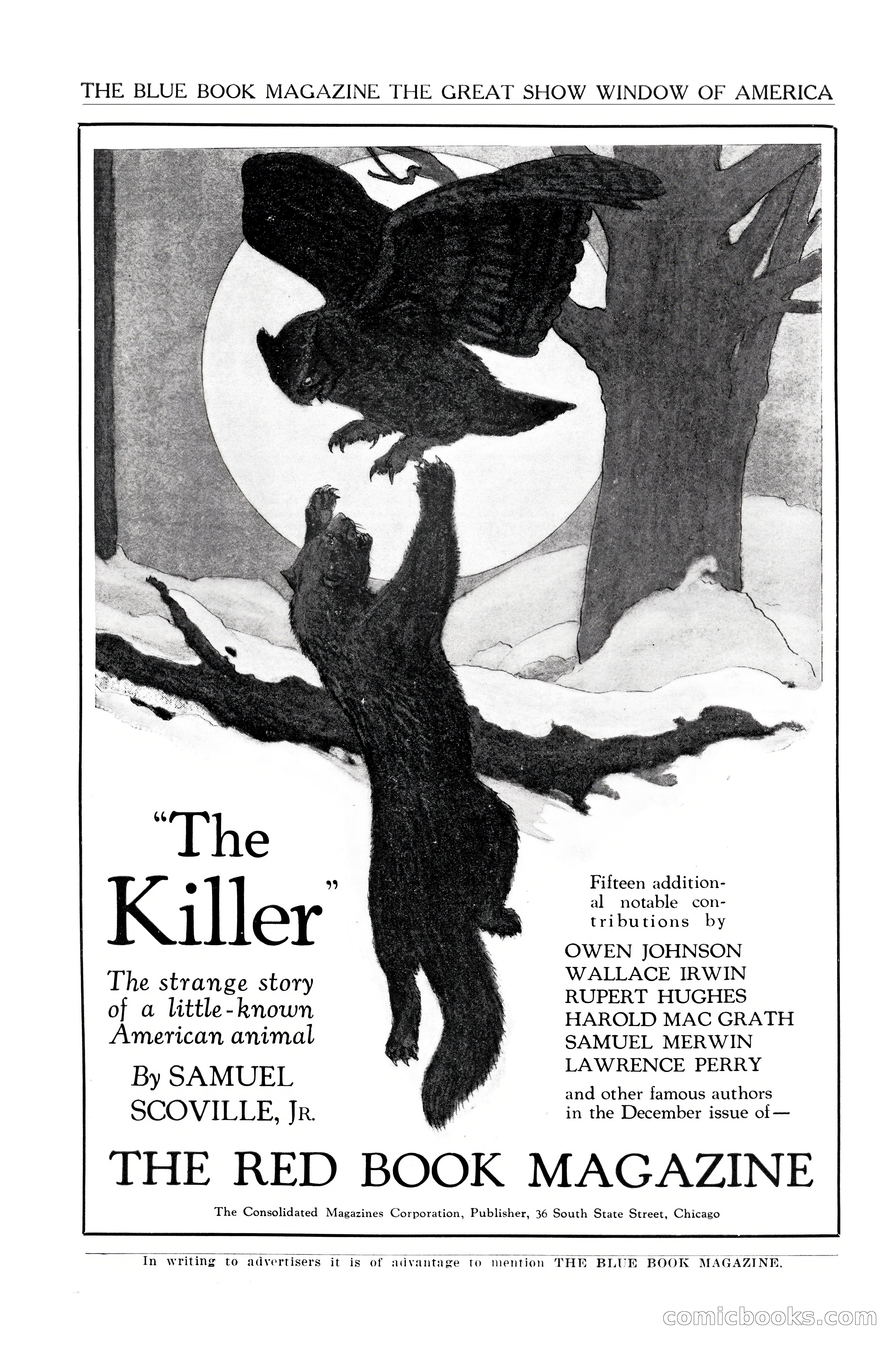 The Blue Book Magazine, January 1926 — page 207 of 208