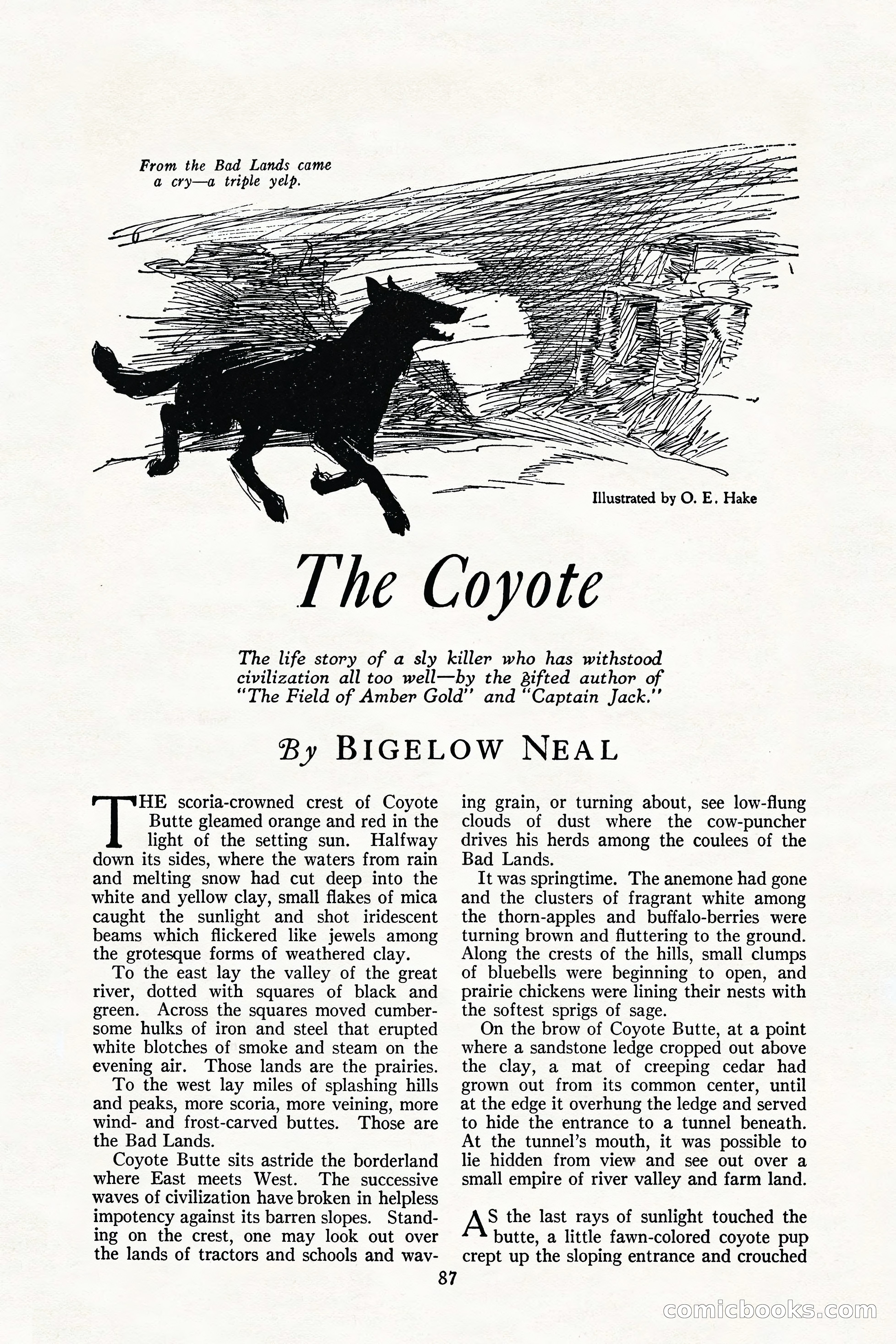 The Illustrated Blue Book Magazine, July 1926 — page 89 of 204