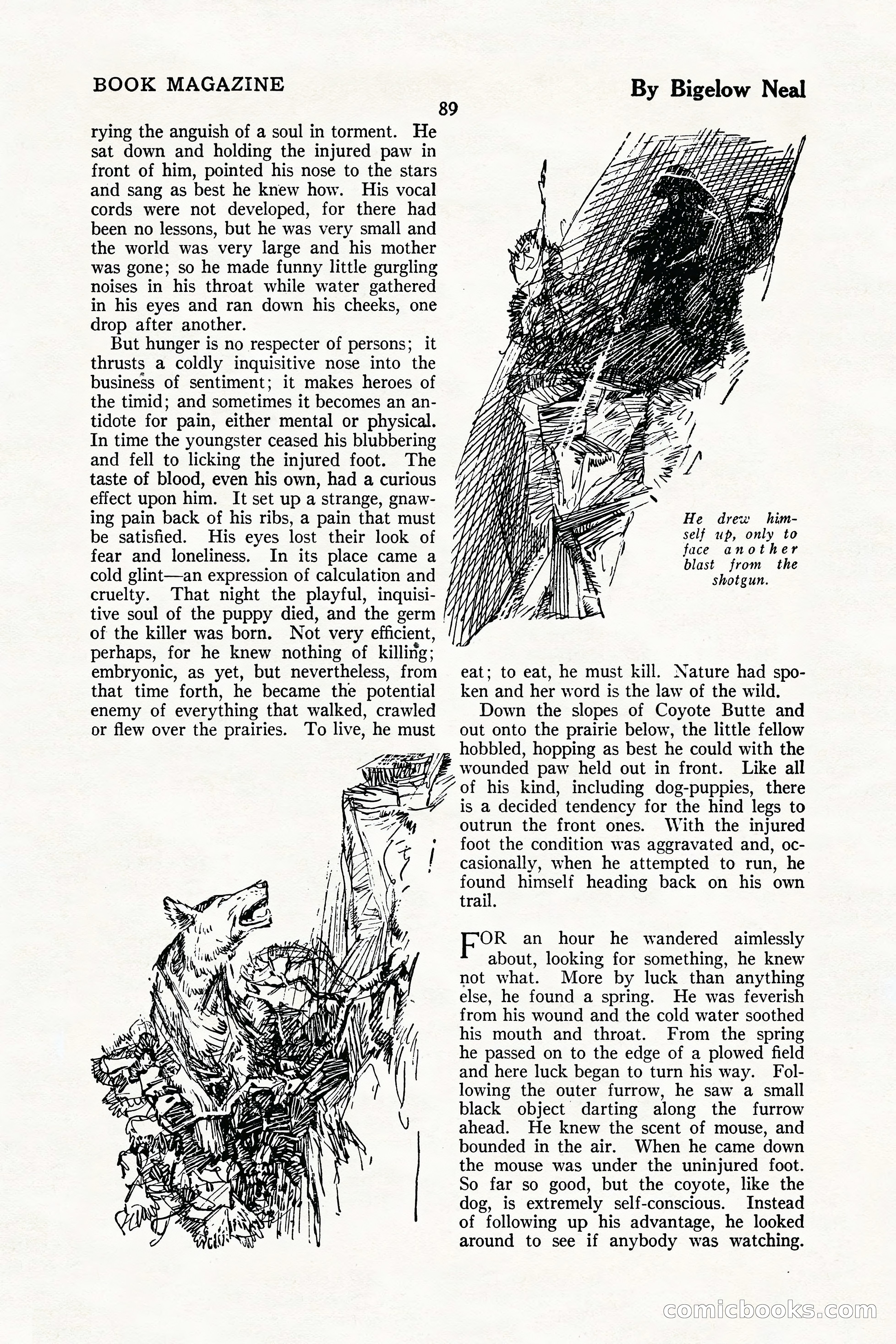 The Illustrated Blue Book Magazine, July 1926 — page 91 of 204