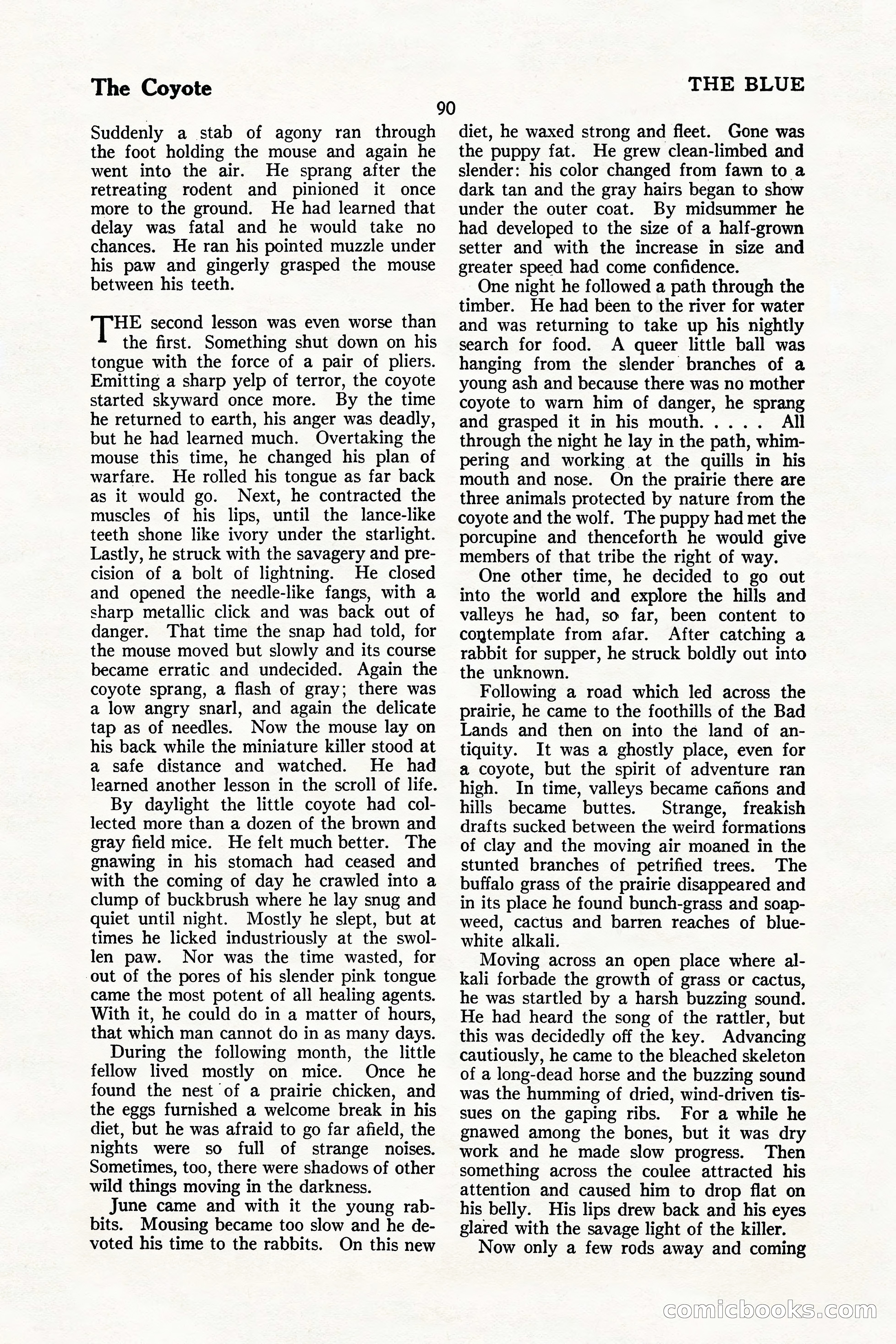 The Illustrated Blue Book Magazine, July 1926 — page 92 of 204