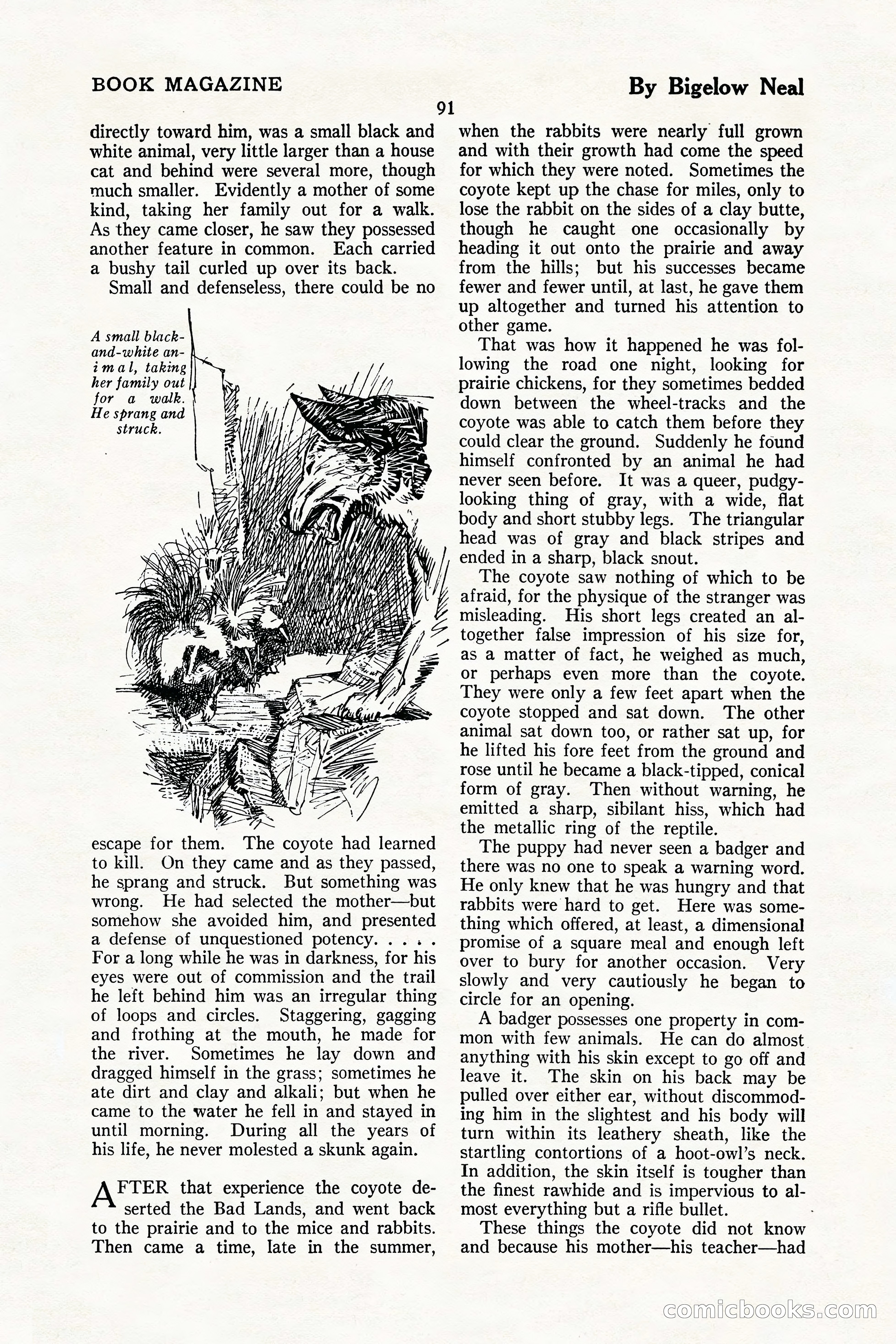 The Illustrated Blue Book Magazine, July 1926 — page 93 of 204
