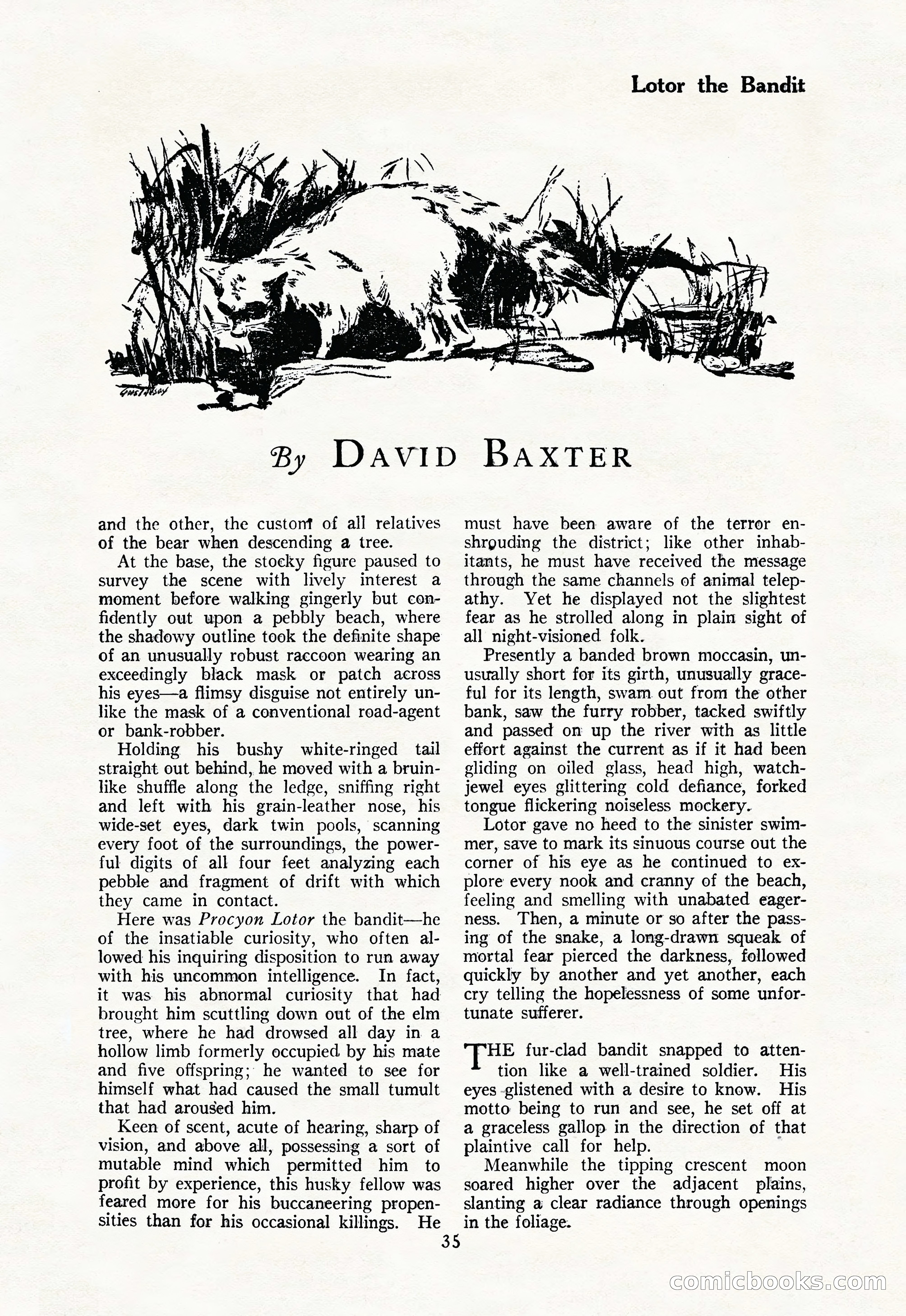 The Illustrated Blue Book Magazine — page 37 of 204