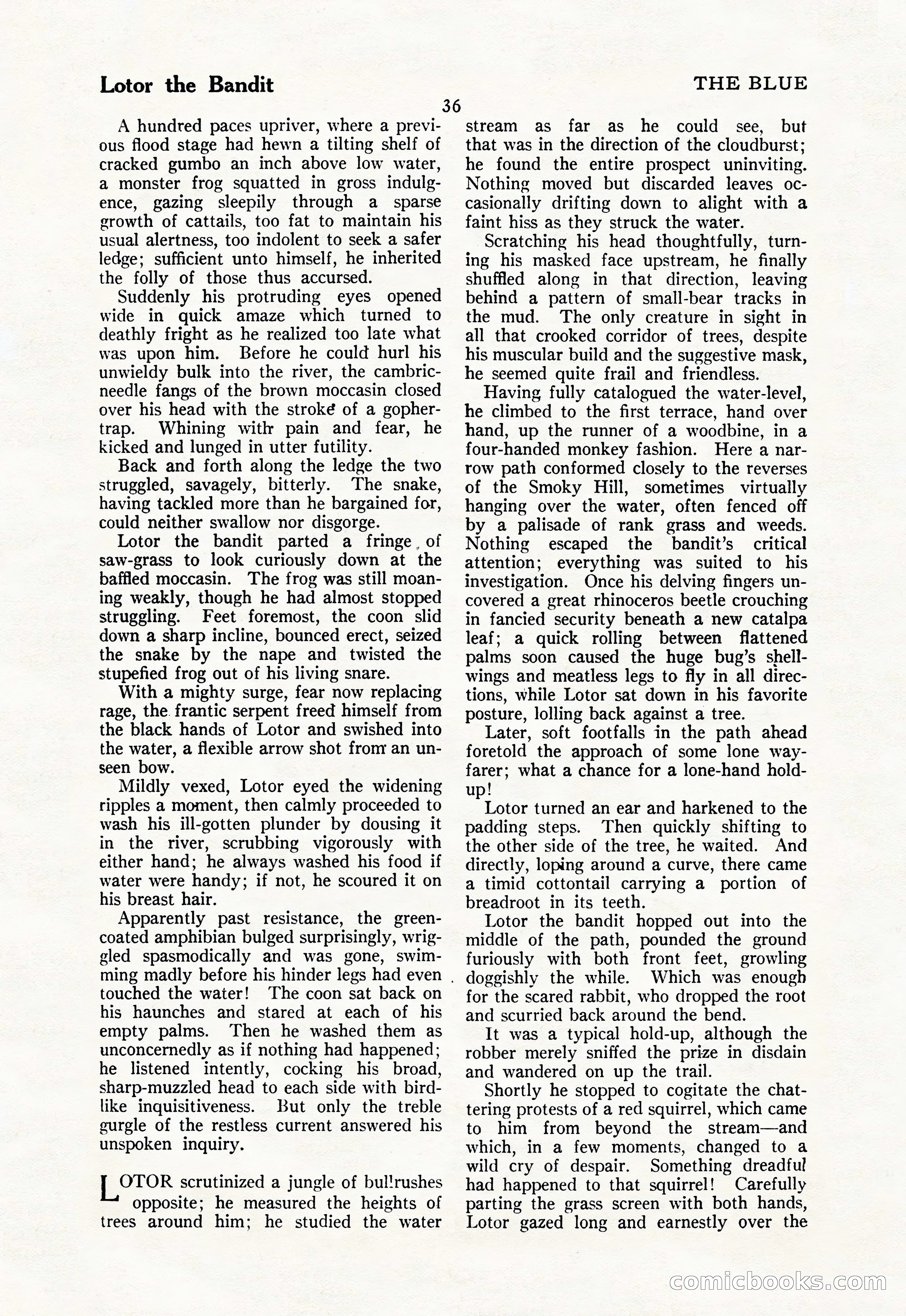 The Illustrated Blue Book Magazine — page 38 of 204