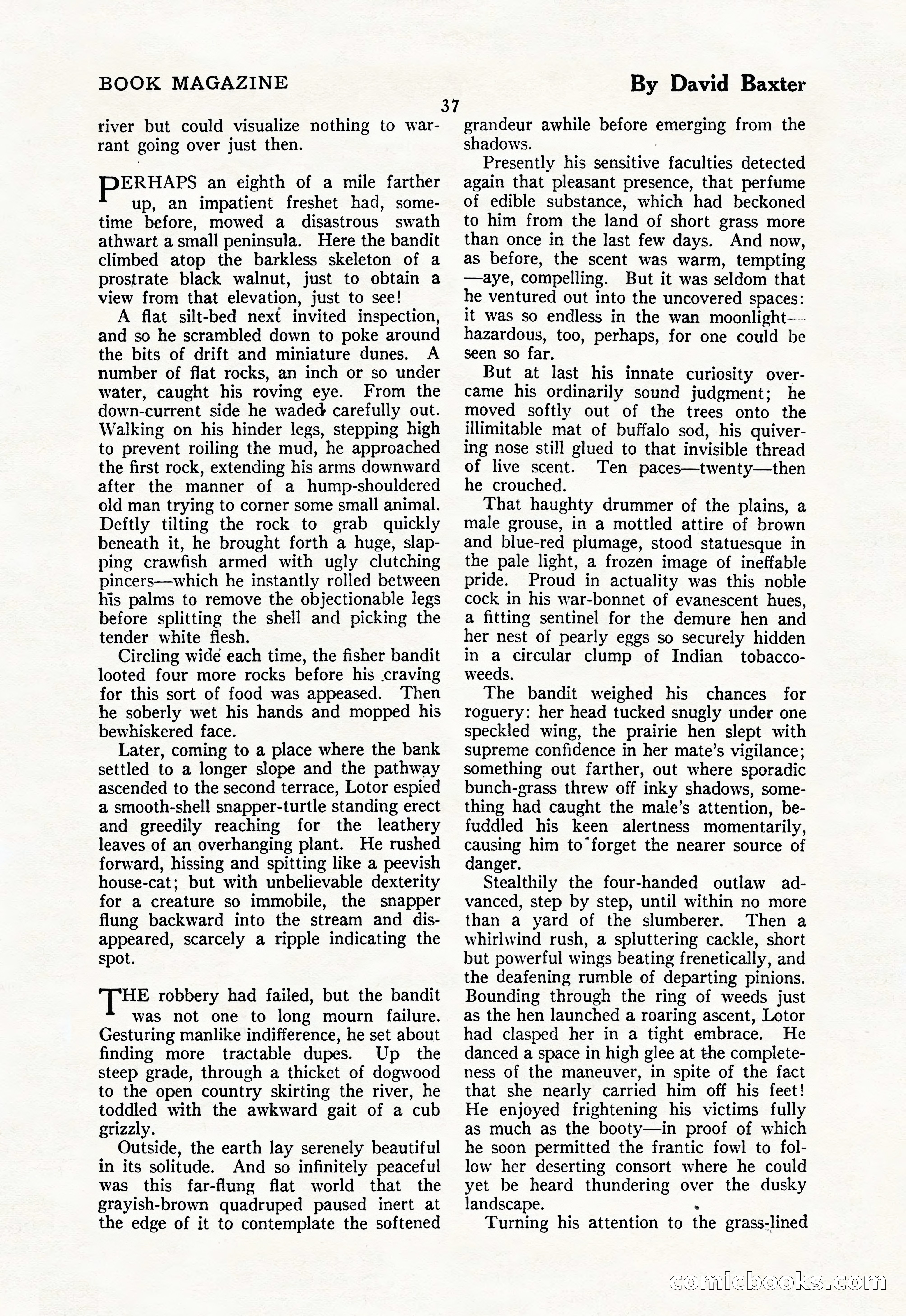 The Illustrated Blue Book Magazine — page 39 of 204
