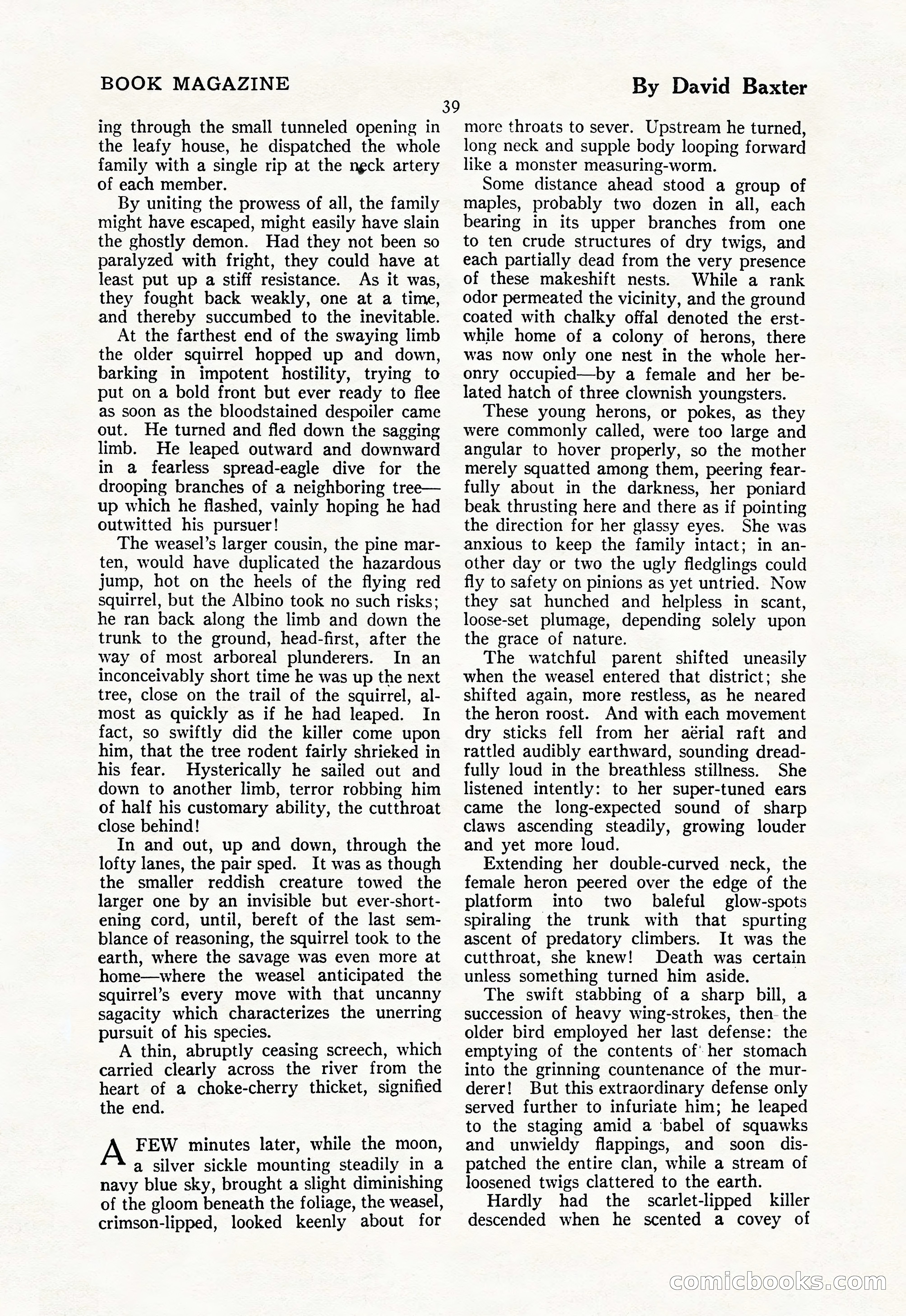 The Illustrated Blue Book Magazine — page 41 of 204