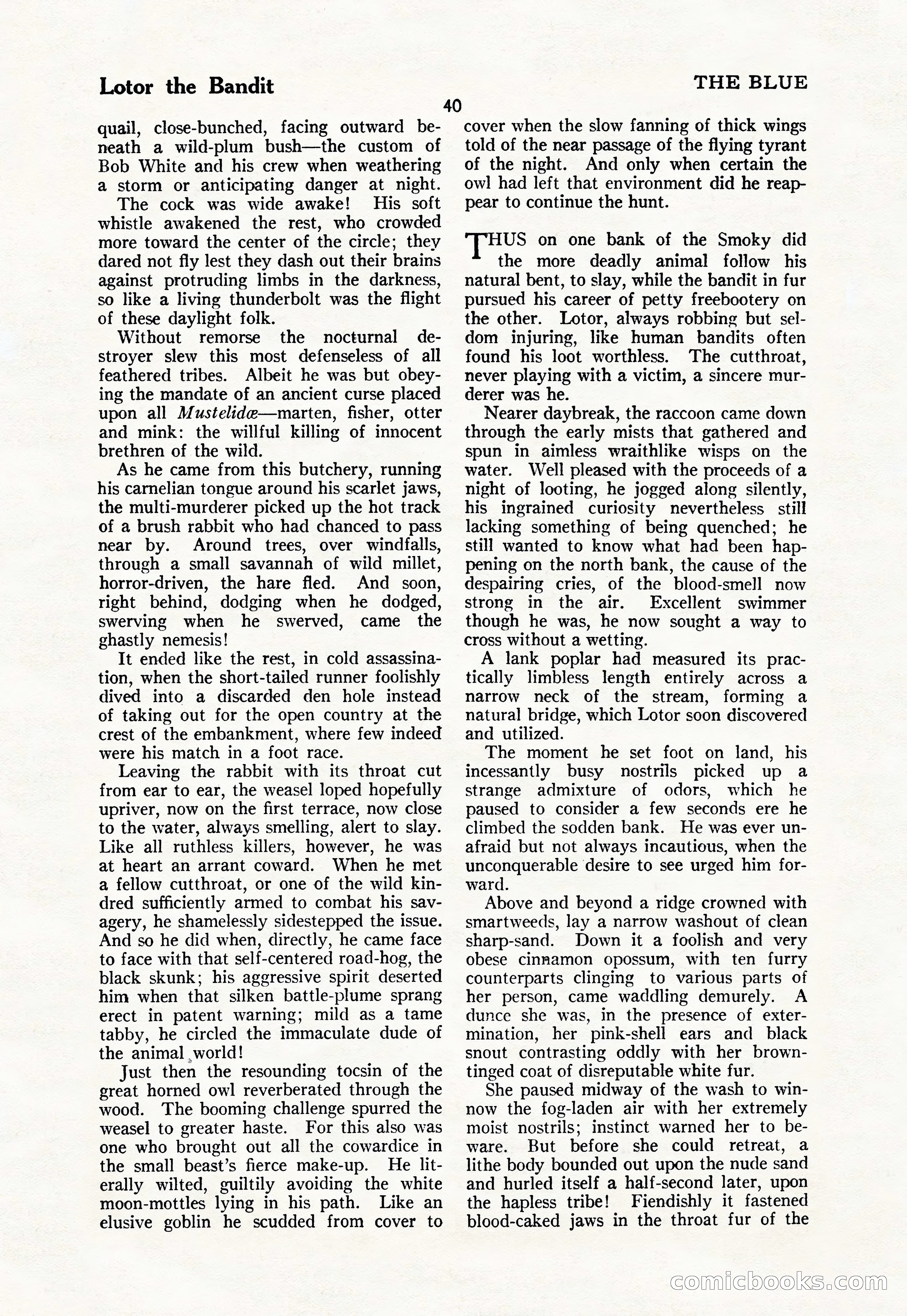 The Illustrated Blue Book Magazine — page 42 of 204