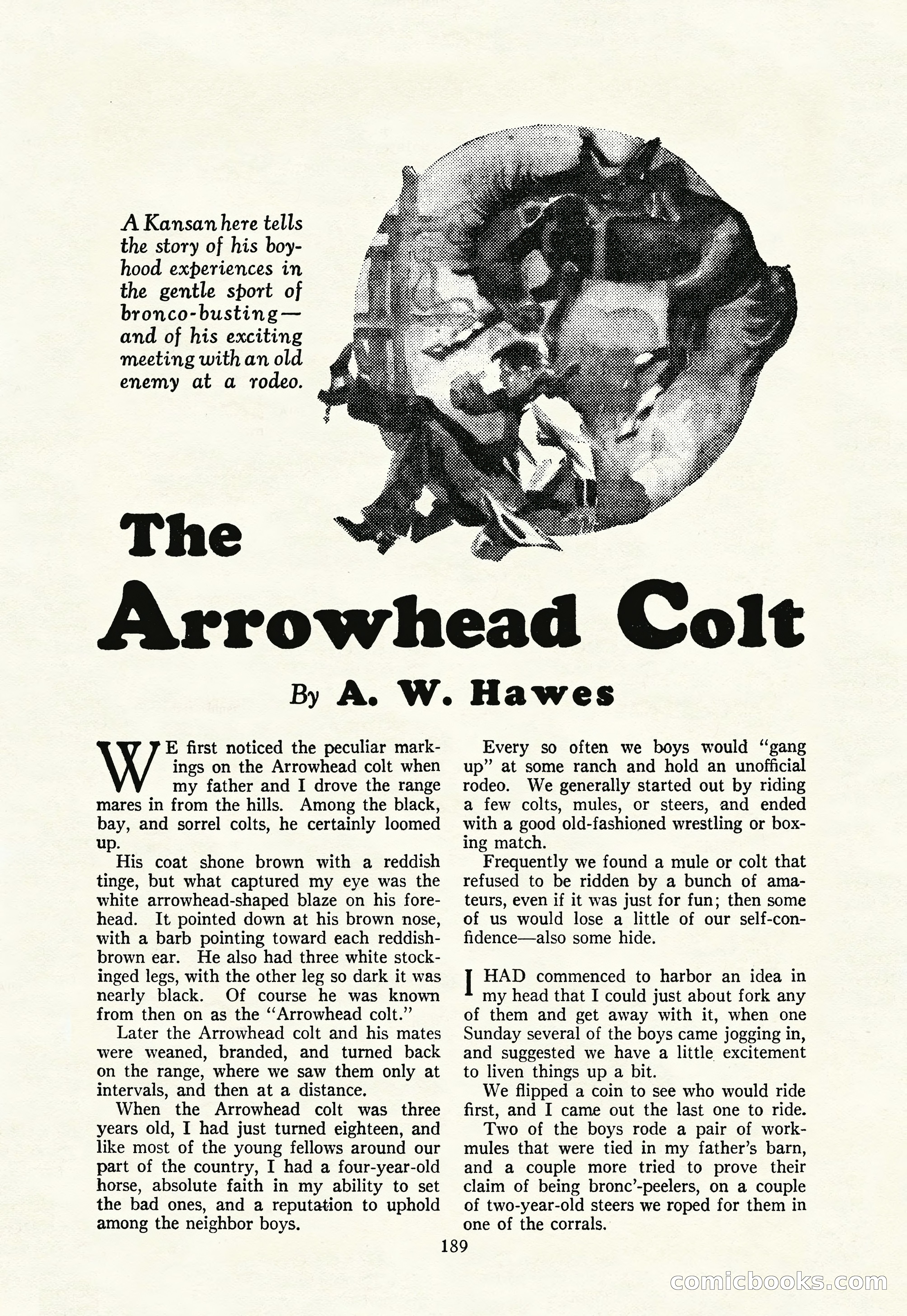 The Illustrated Blue Book Magazine — page 191 of 204