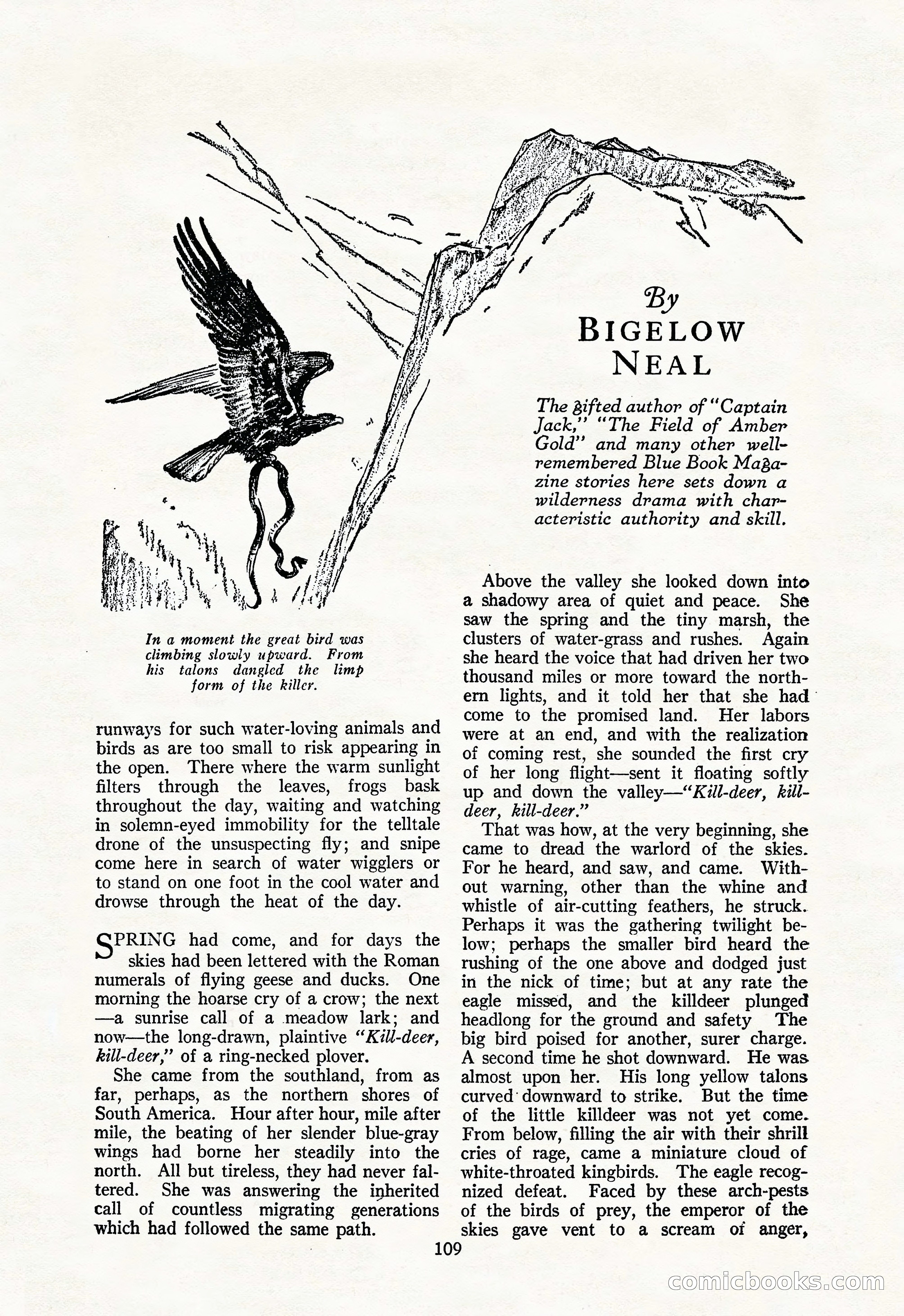 The Illustrated Blue Book Magazine, May 1927 — page 111 of 208