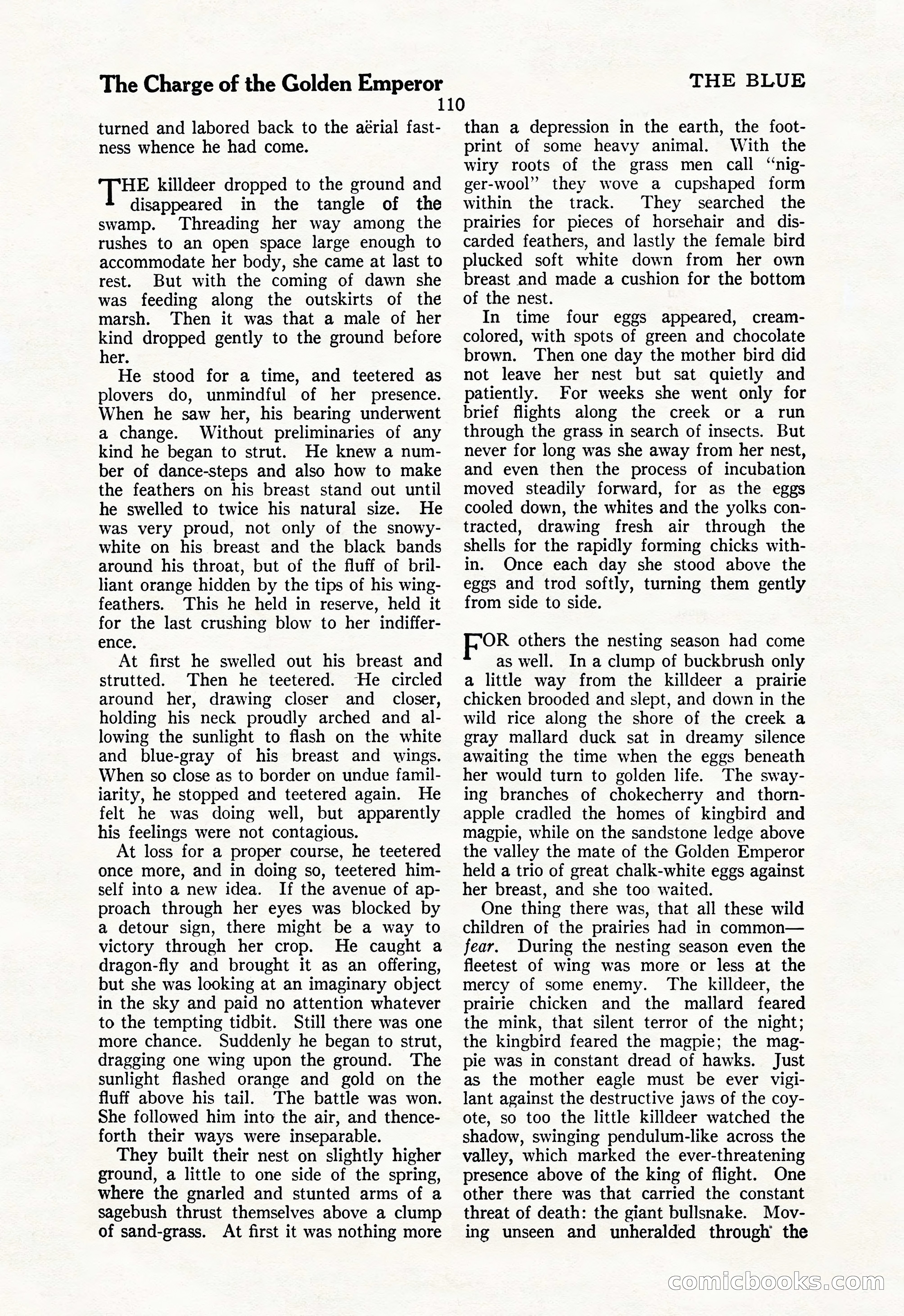 The Illustrated Blue Book Magazine, May 1927 — page 112 of 208