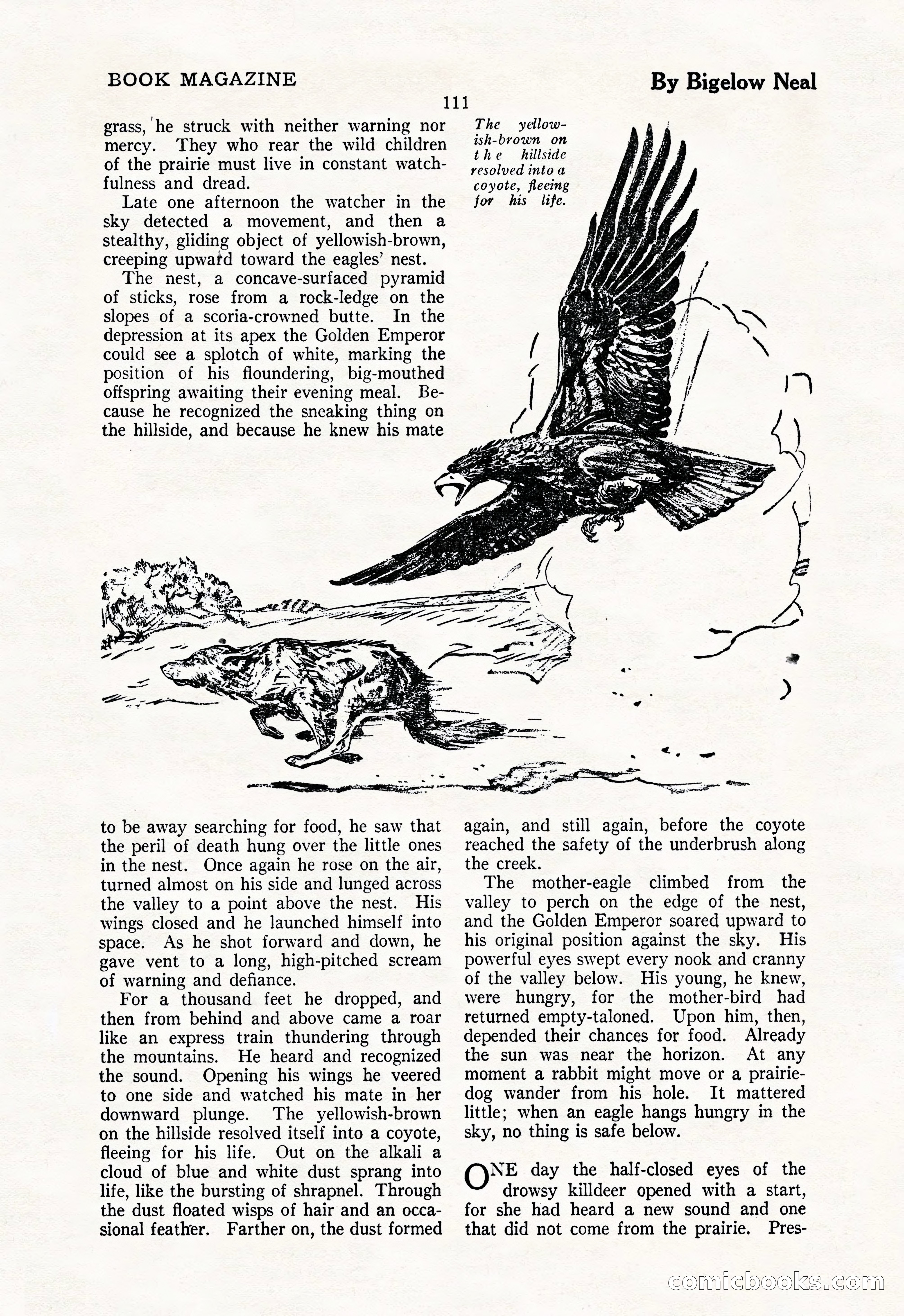 The Illustrated Blue Book Magazine, May 1927 — page 113 of 208
