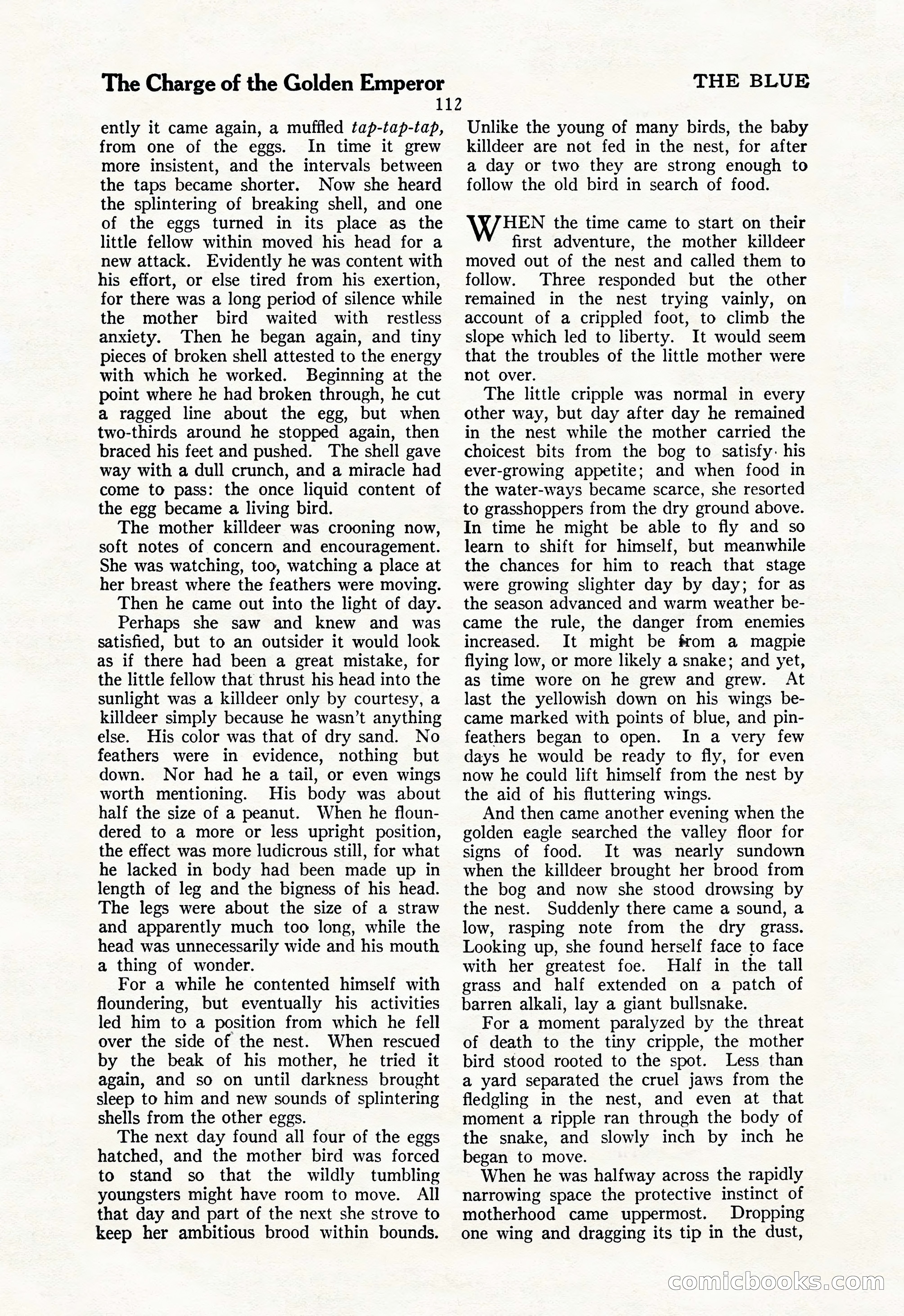 The Illustrated Blue Book Magazine, May 1927 — page 114 of 208