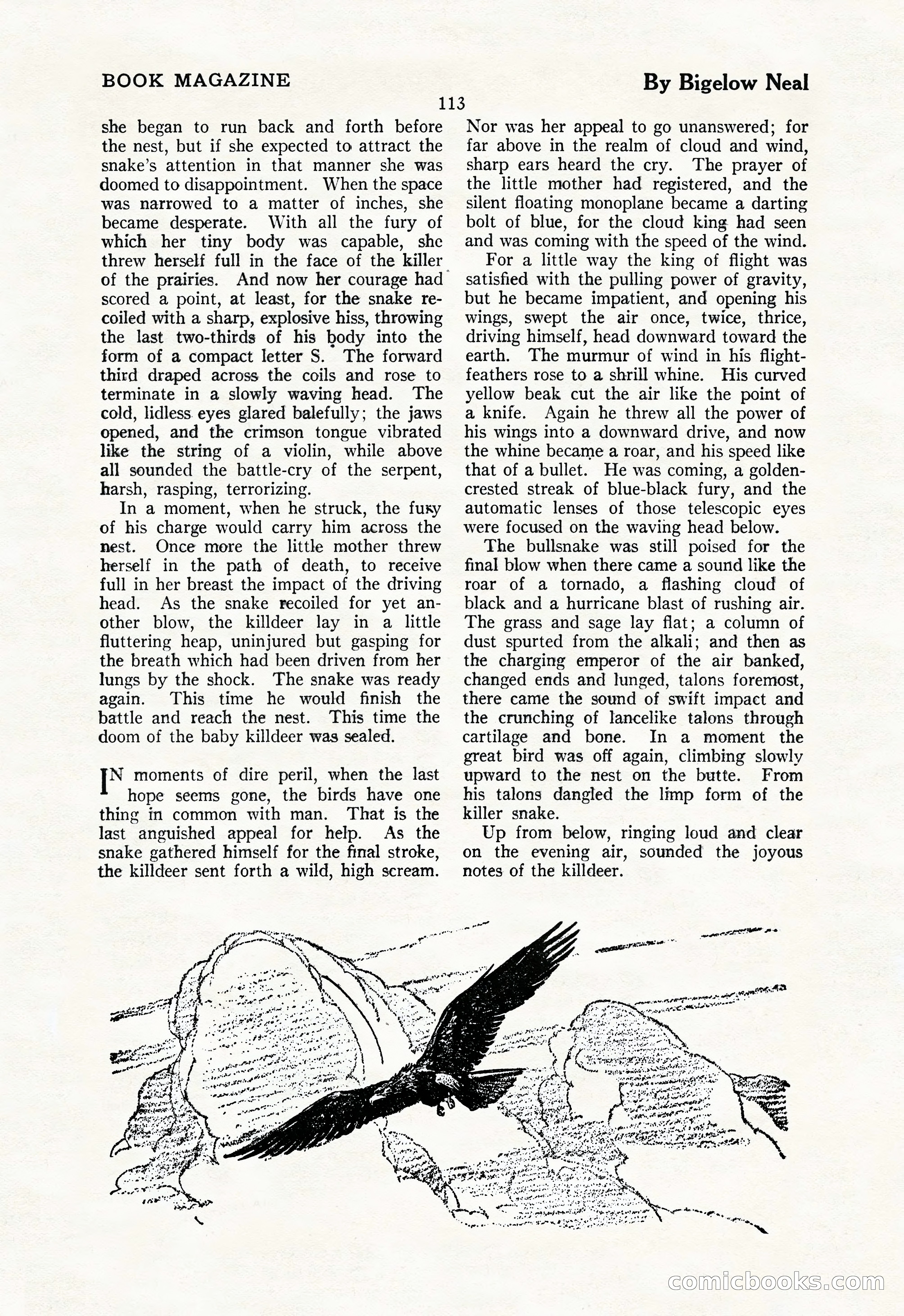 The Illustrated Blue Book Magazine, May 1927 — page 115 of 208