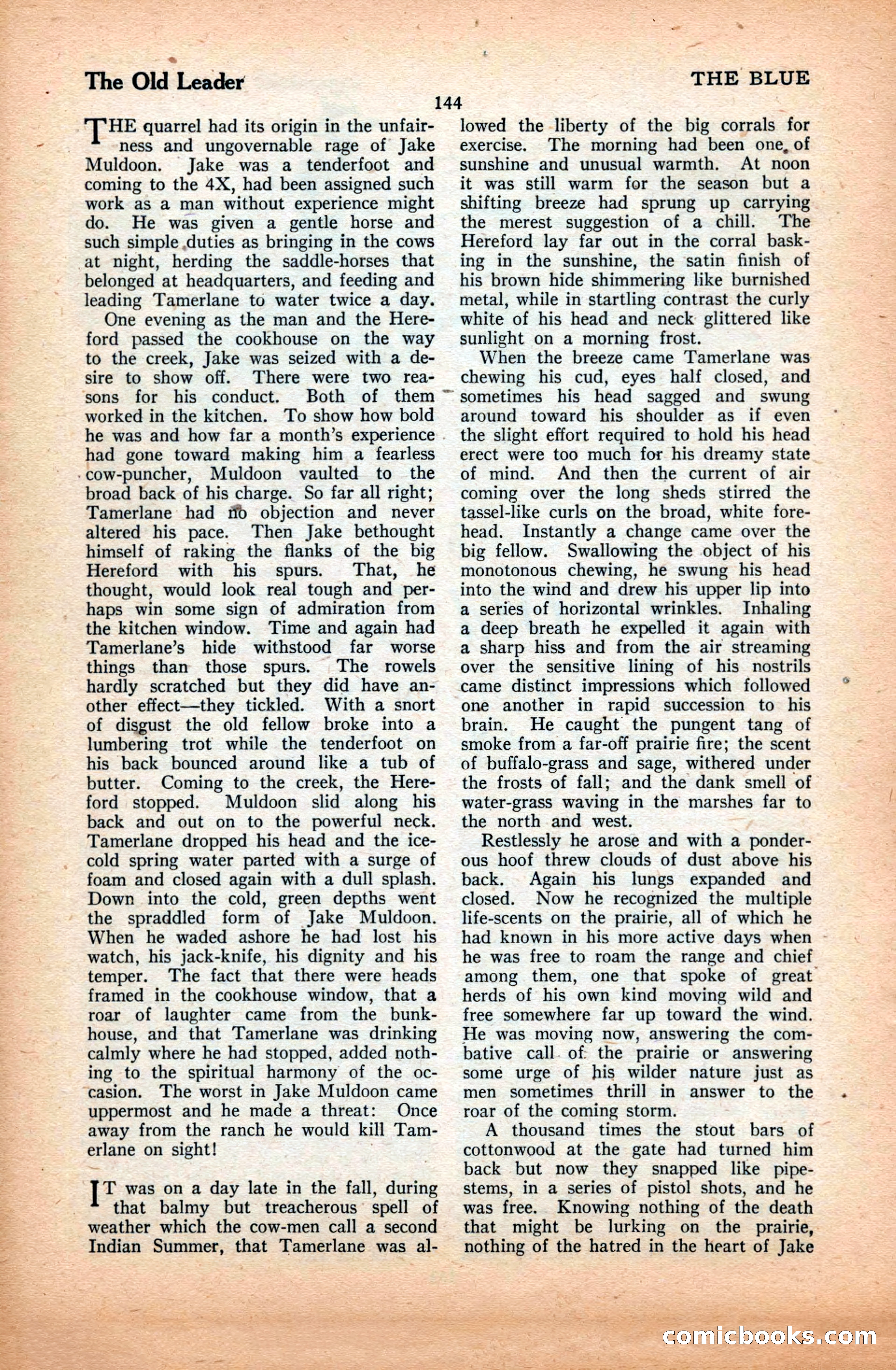 The Illustrated Blue Book Magazine, March 1928 — page 146 of 204