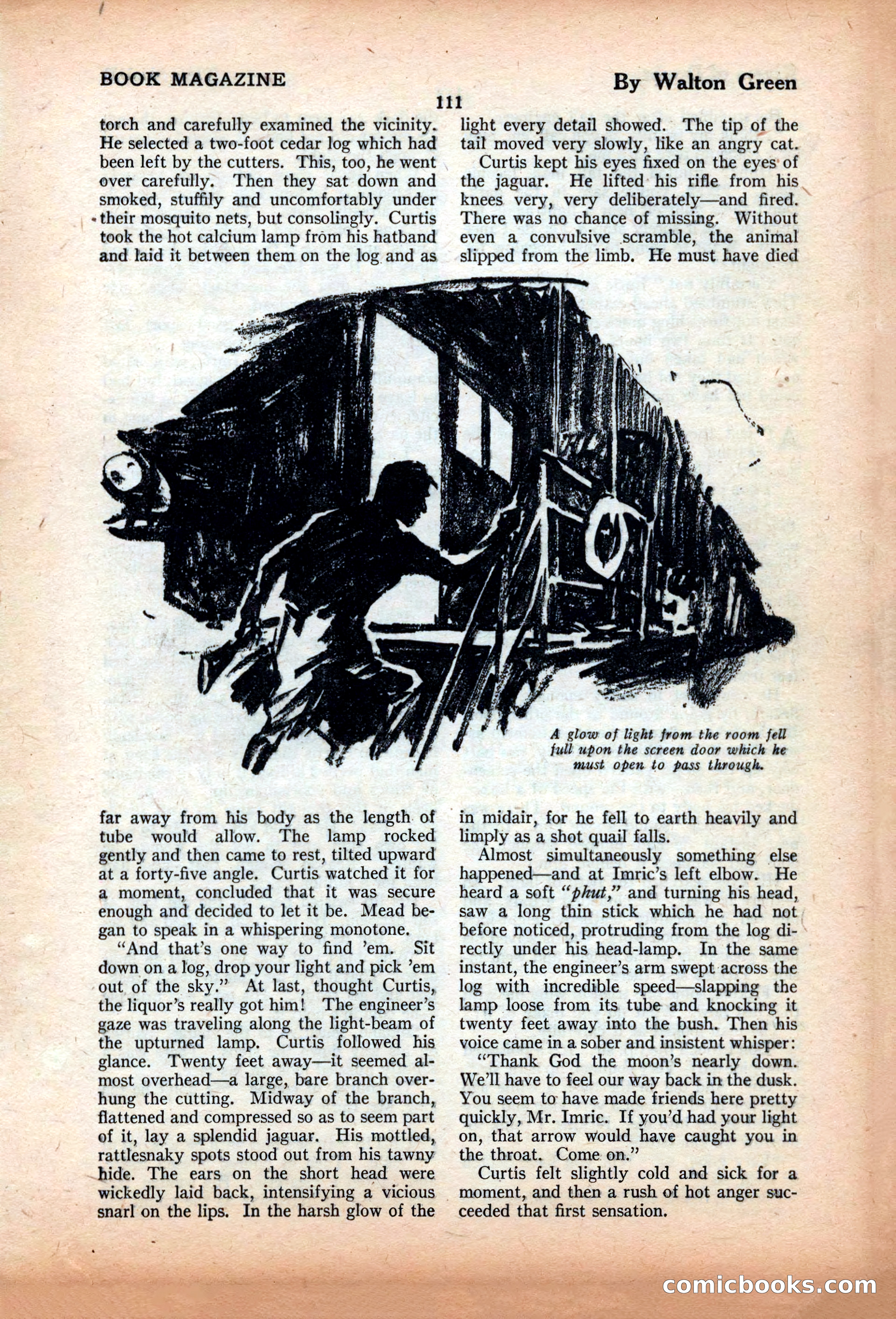 The Illustrated Blue Book Magazine, June 1928 — page 113 of 204